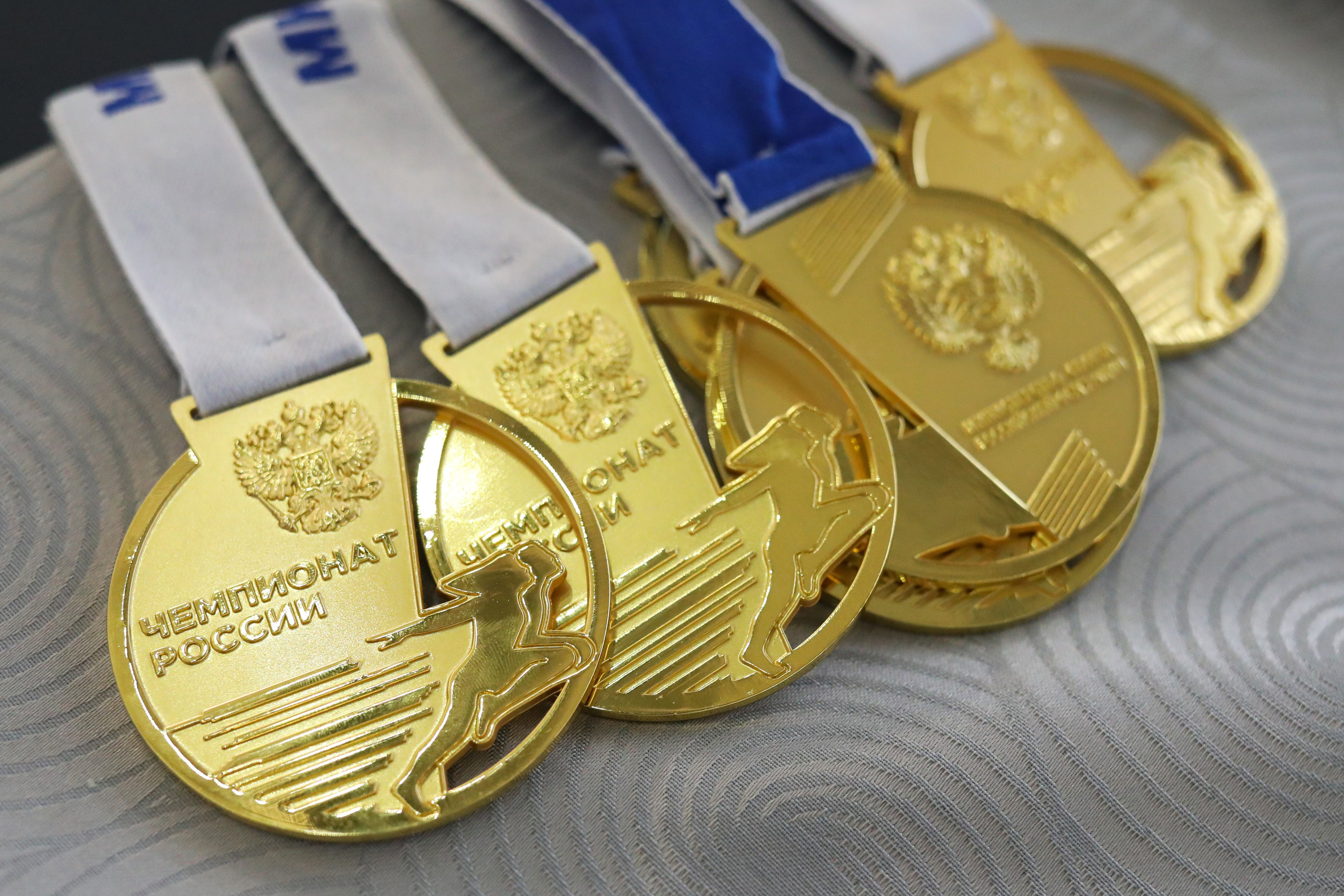 Паравело. Спортивный фотограф в Санкт-Петербурге Наталья Ксенофонтова