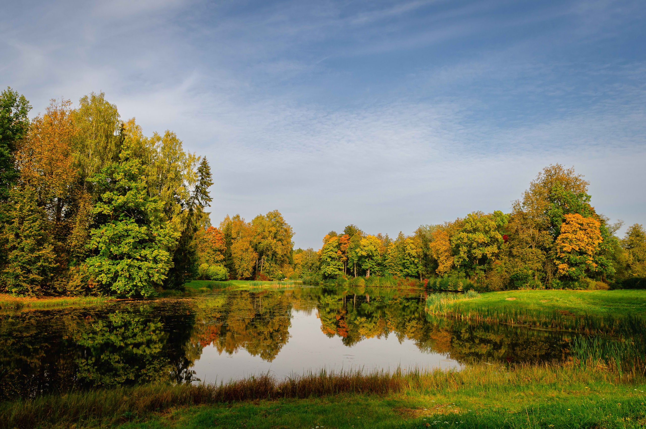 2023.09. Фотограф Алексей Алексеев