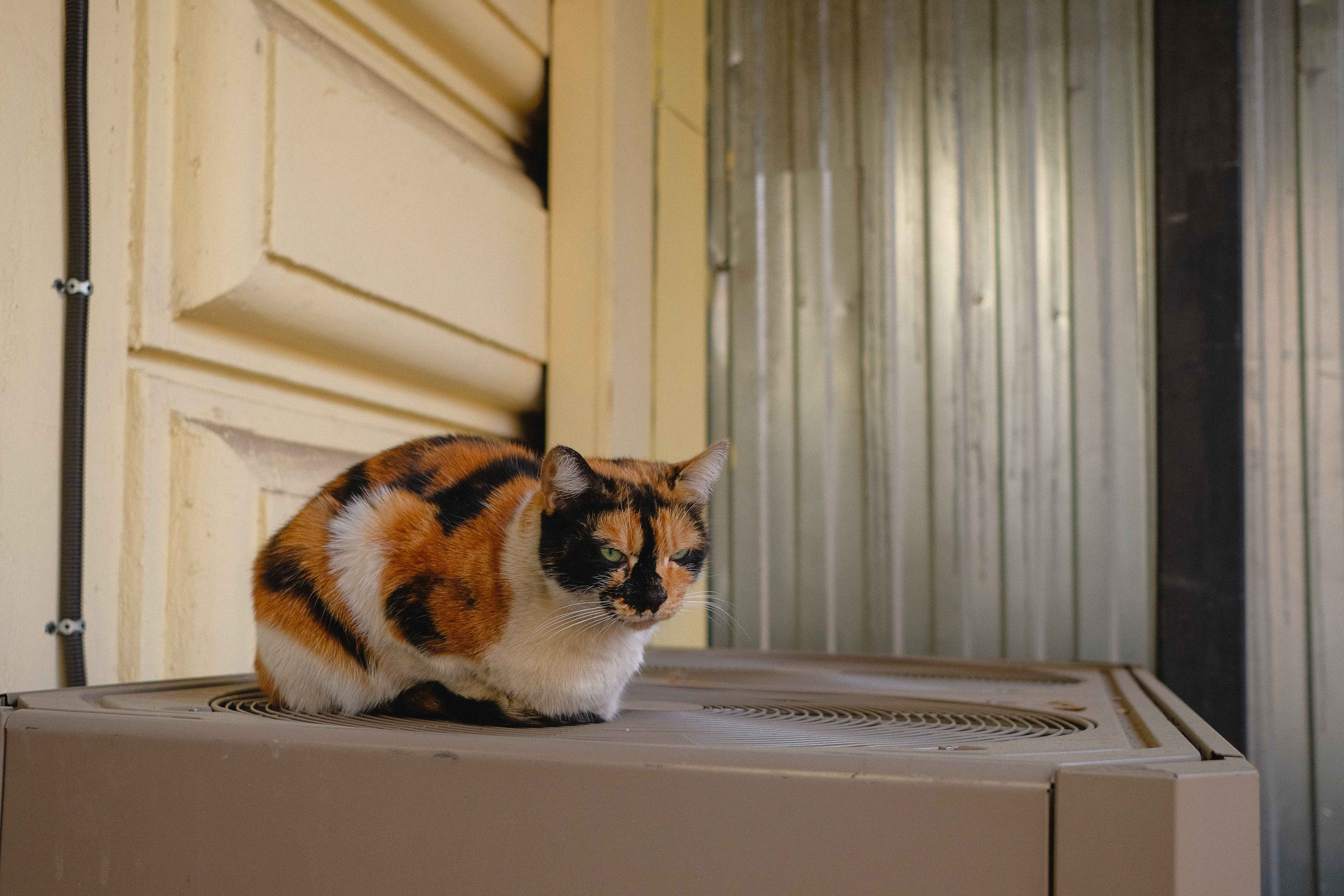 2022.04. Фотограф Алексей Алексеев