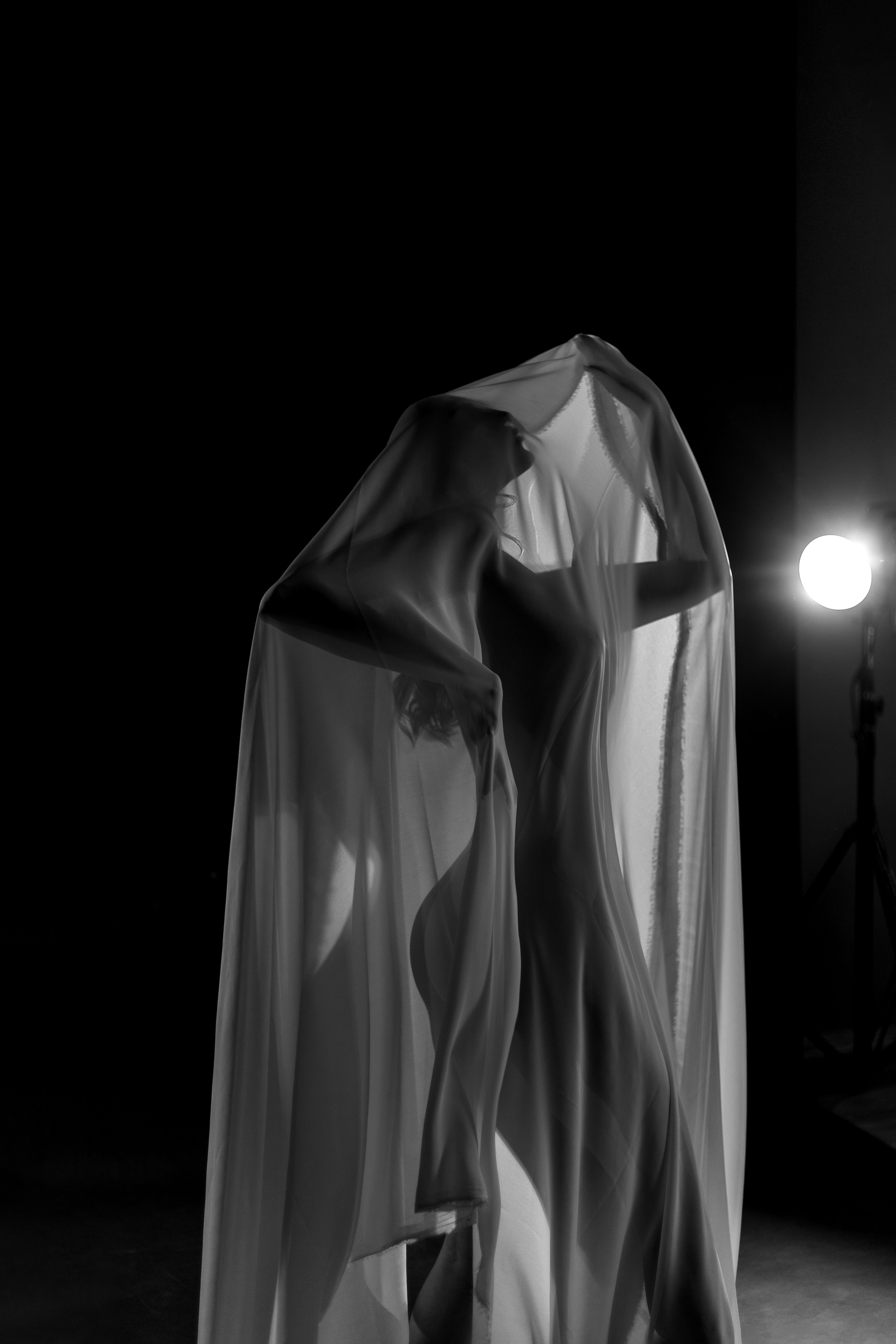 Арт-ню. Алена Борисова фотограф в Ставрополе