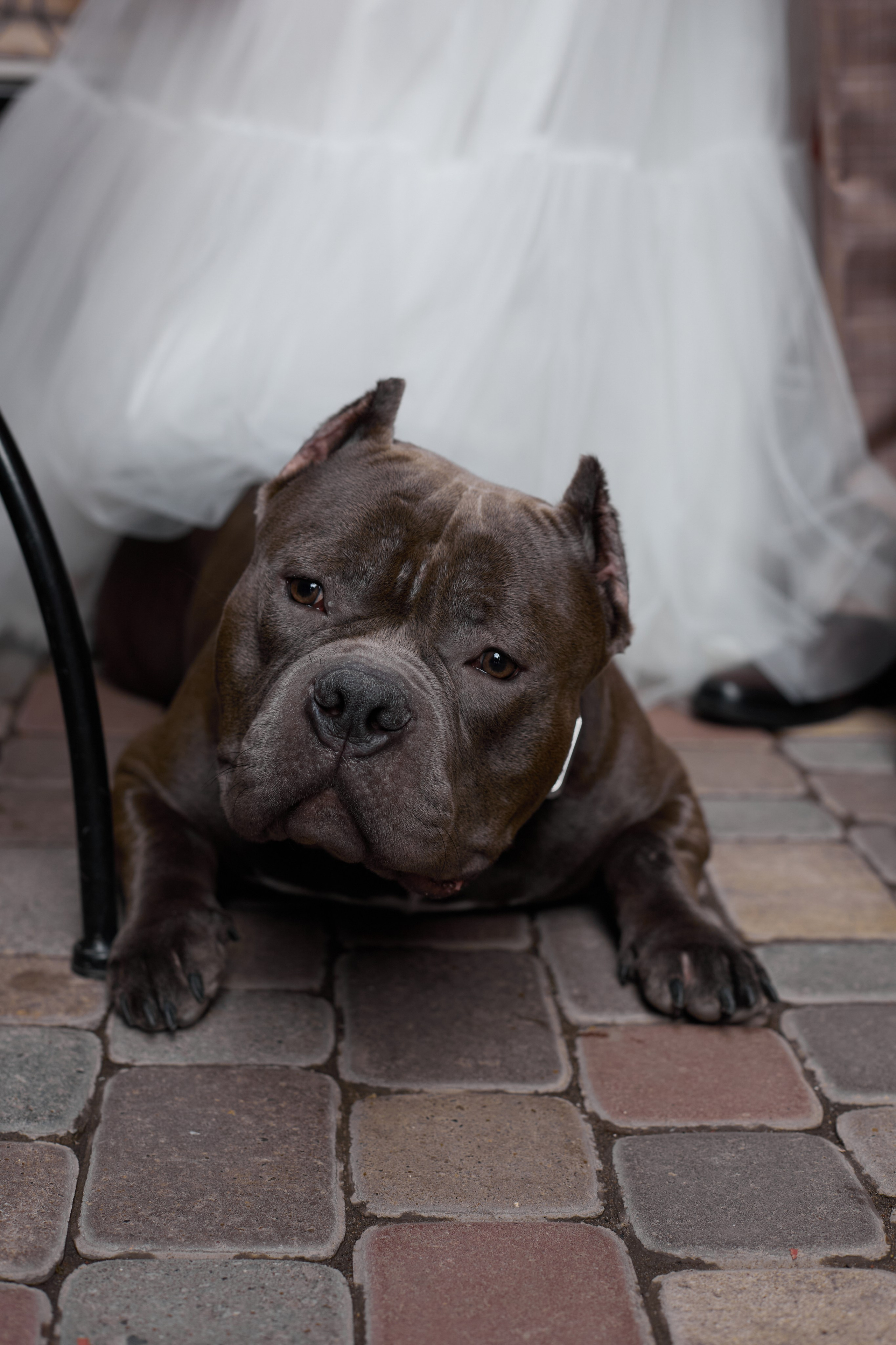 V&K. Фотограф в Самаре Диана Анисимова