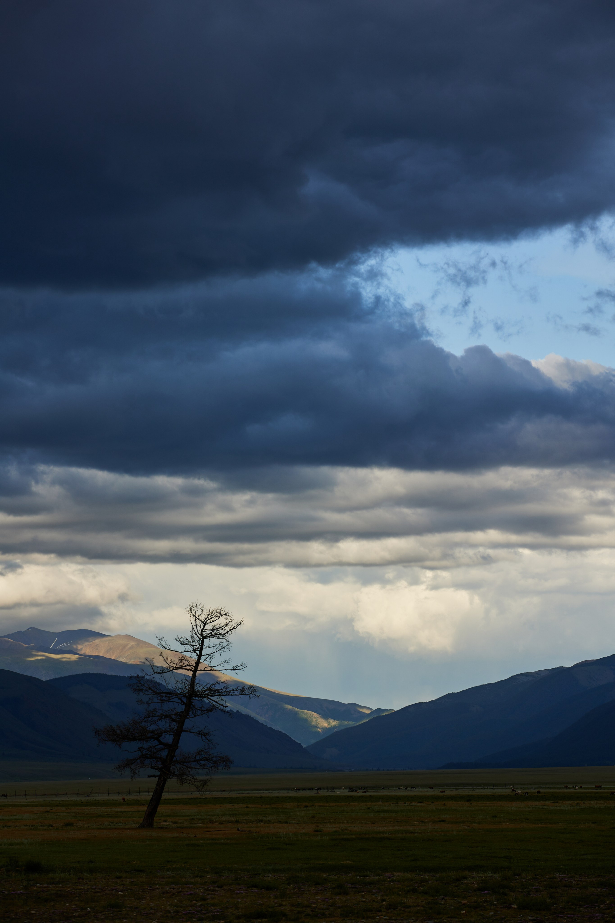 Алтай. Хороший репортажный и промышленный фотограф в Казани Алексей Щелконогов