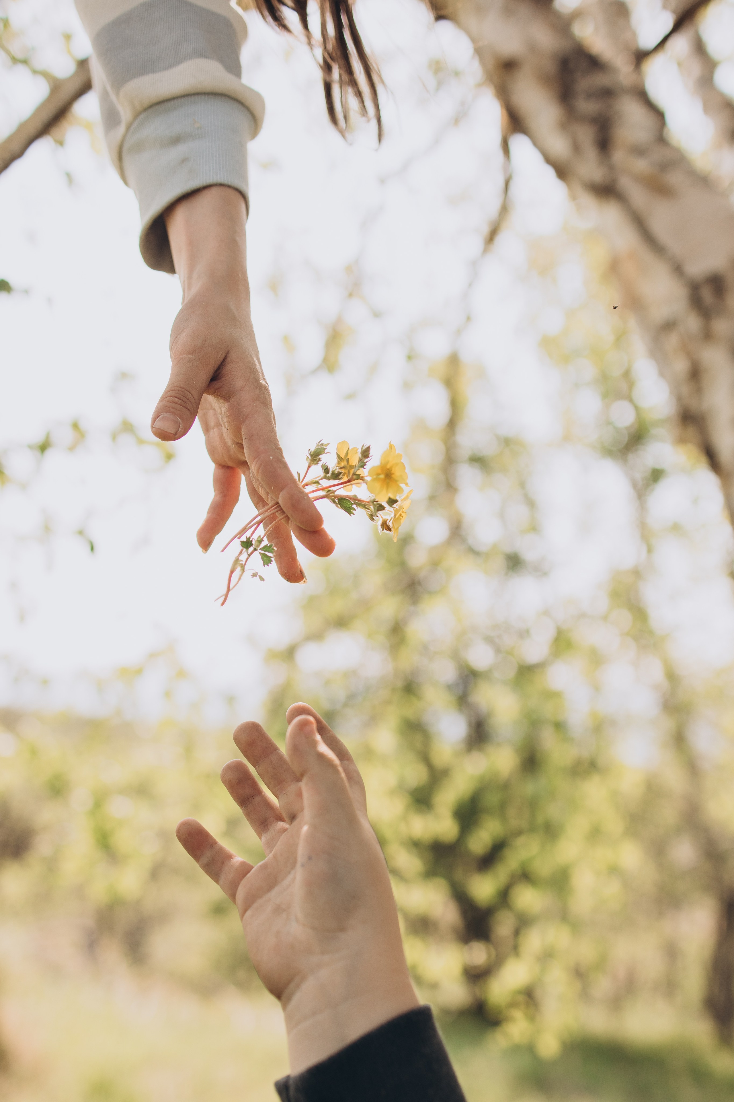 Лето. ФОТОГРАФ КАМЧАТКА ИРИНА БЕЛОКРЫЛОВА