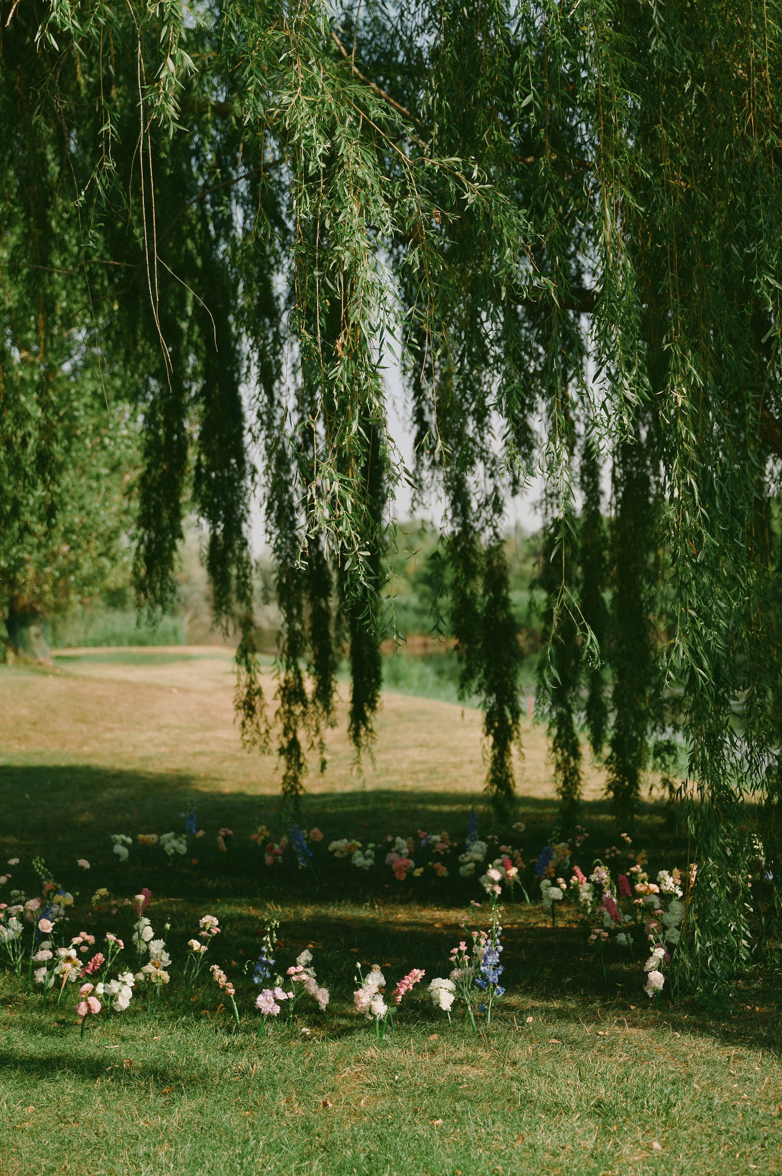 Лина и Стас. Свадебный фотограф в Ростовe-на-Дону Анастасия Прутова