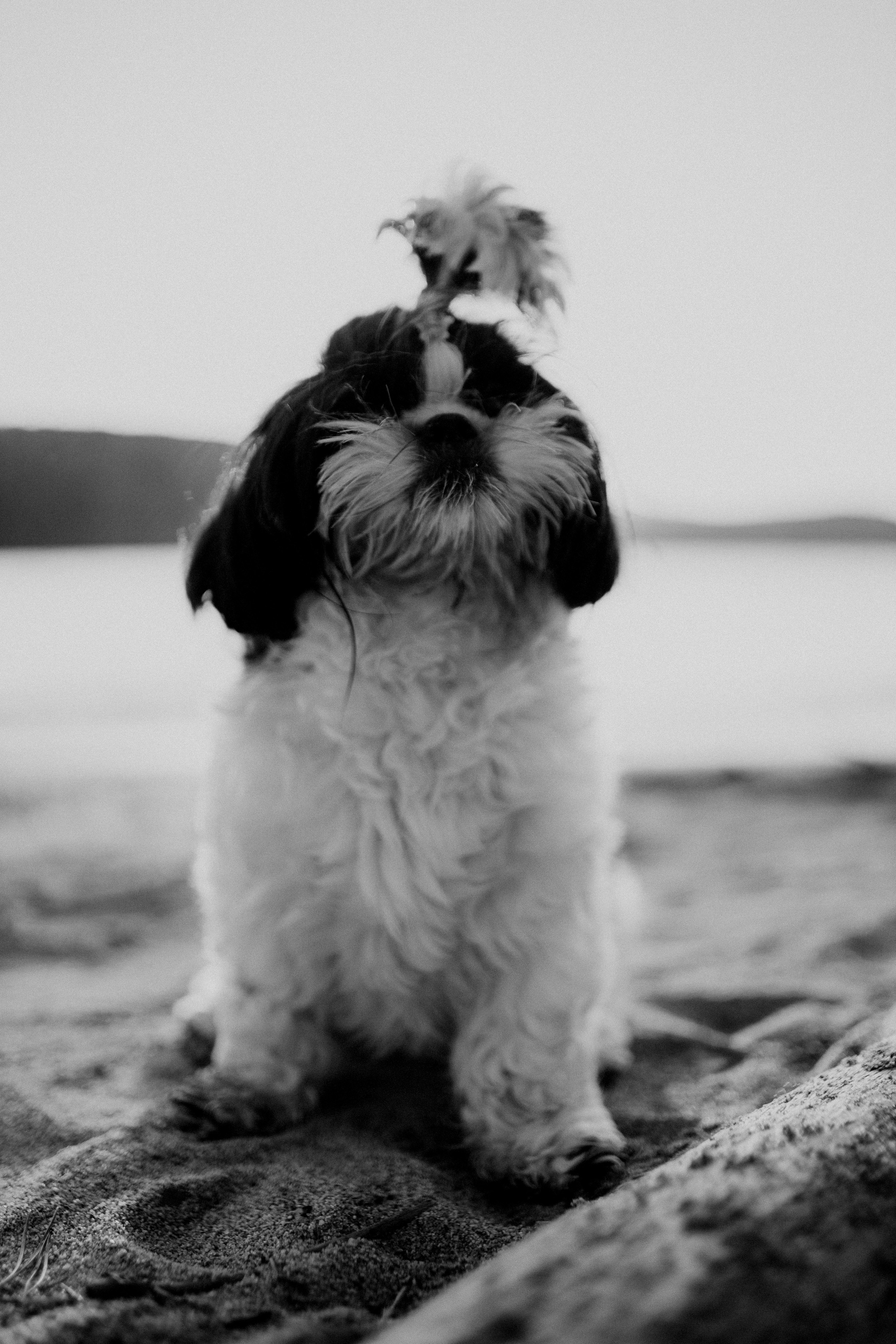 ИДЕИ ДЛЯ СЕМЕЙНОЙ СЪЕМКИ