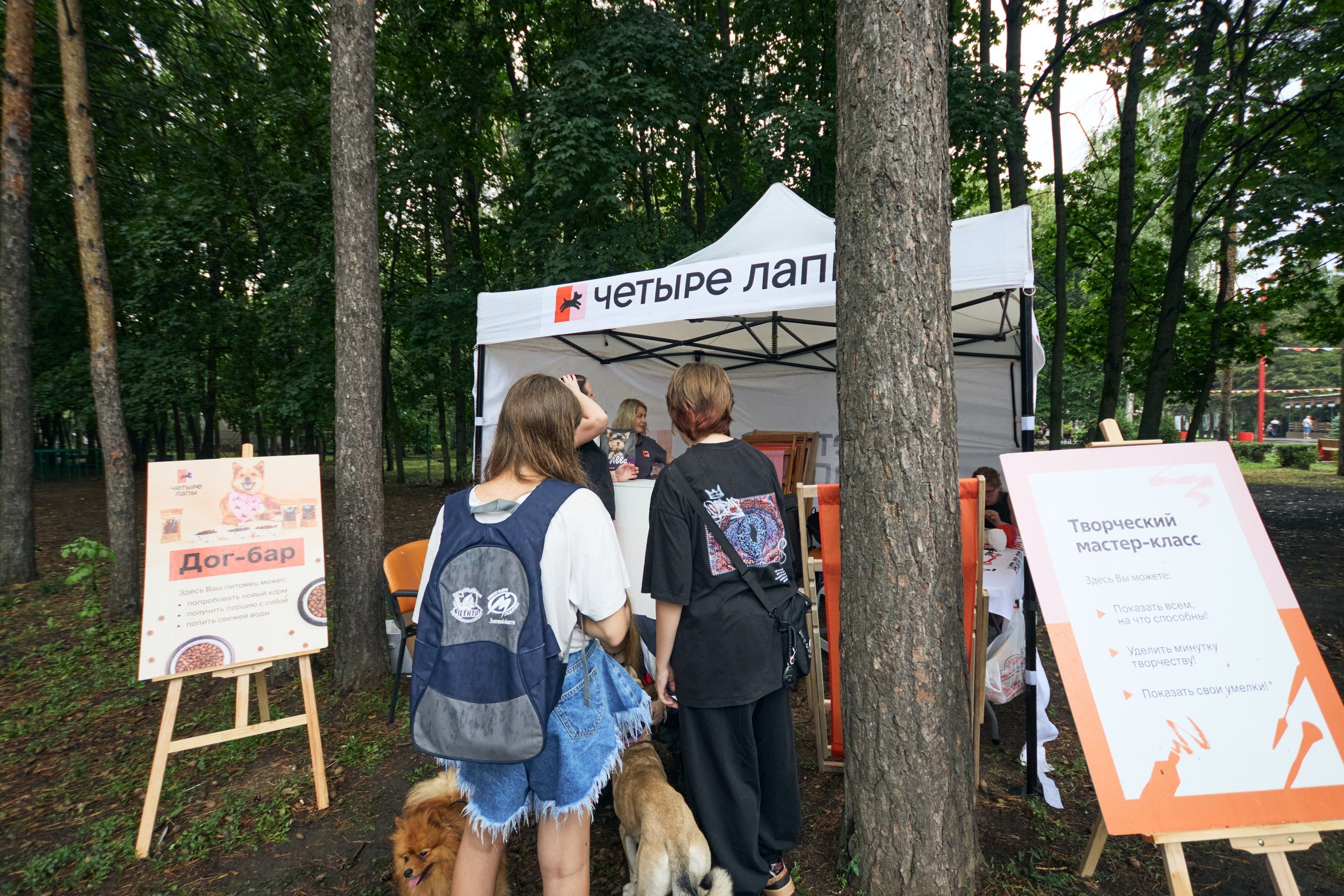 Четыре Лапы. Свадебный и репортажный фотограф Дмитрий Кононенко