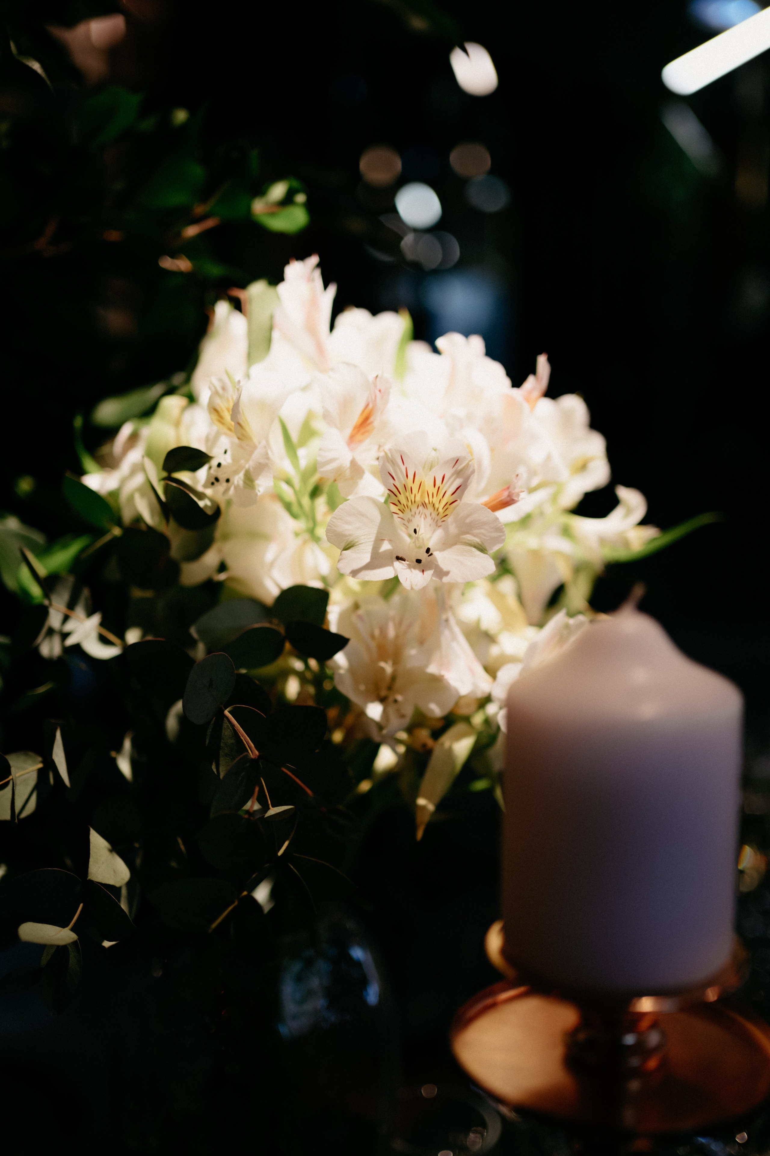 Амтел. Фотограф в Москве Дмитрий Рогов