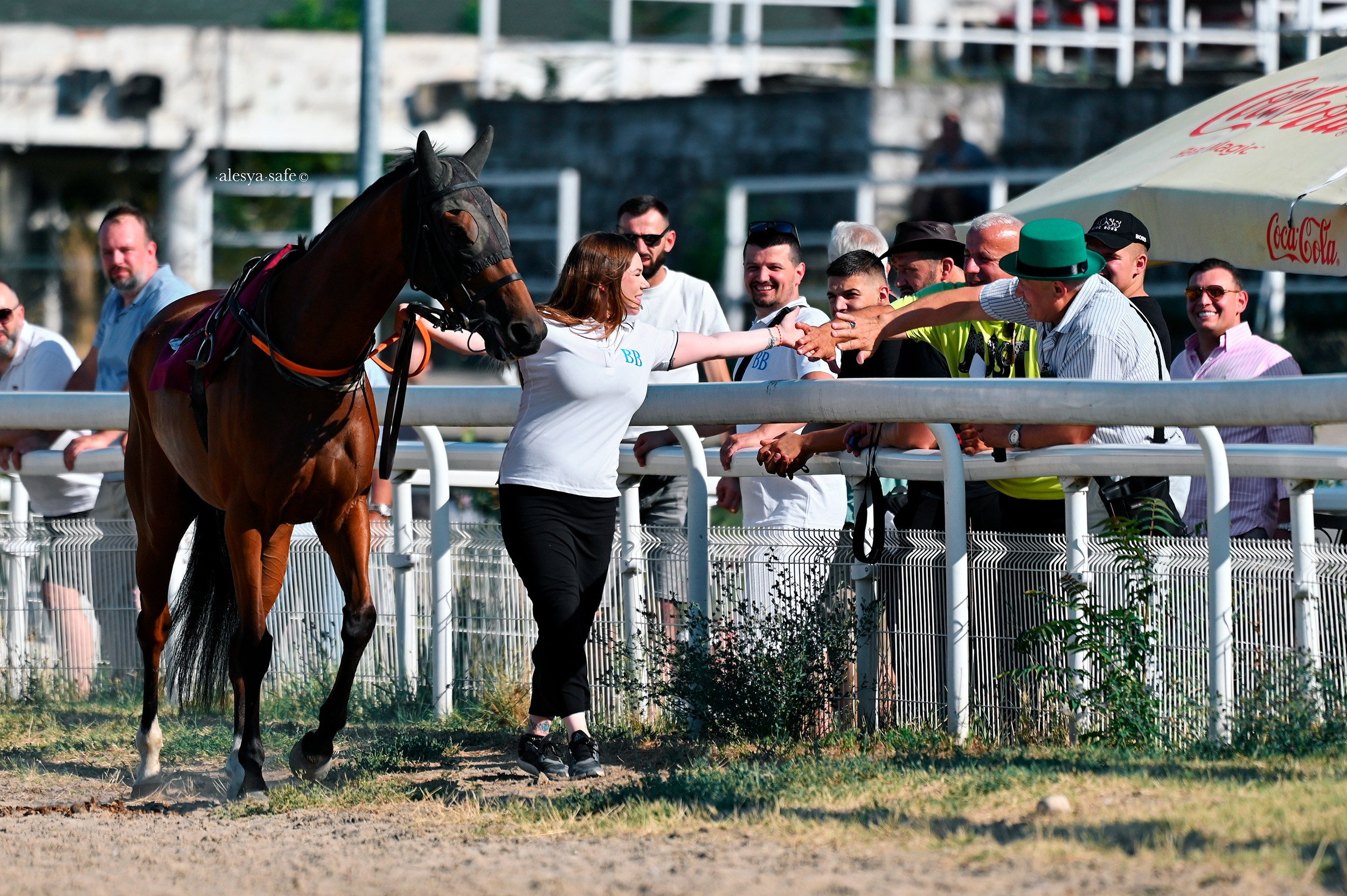 Скачки. Конный фотограф Alesya Safe