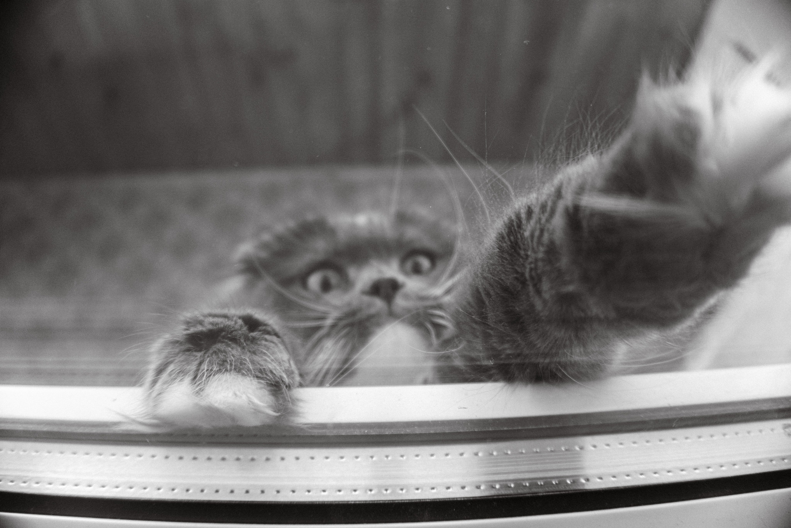 Семейная домашняя серия. Alenasokolowa.ru