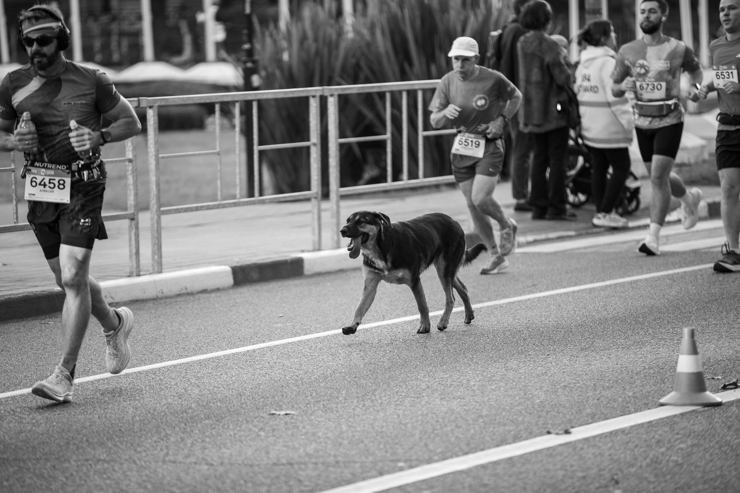 Сочи Марафон по бегу — 2025.11.03. Фотограф из Сочи Регина Труфанова