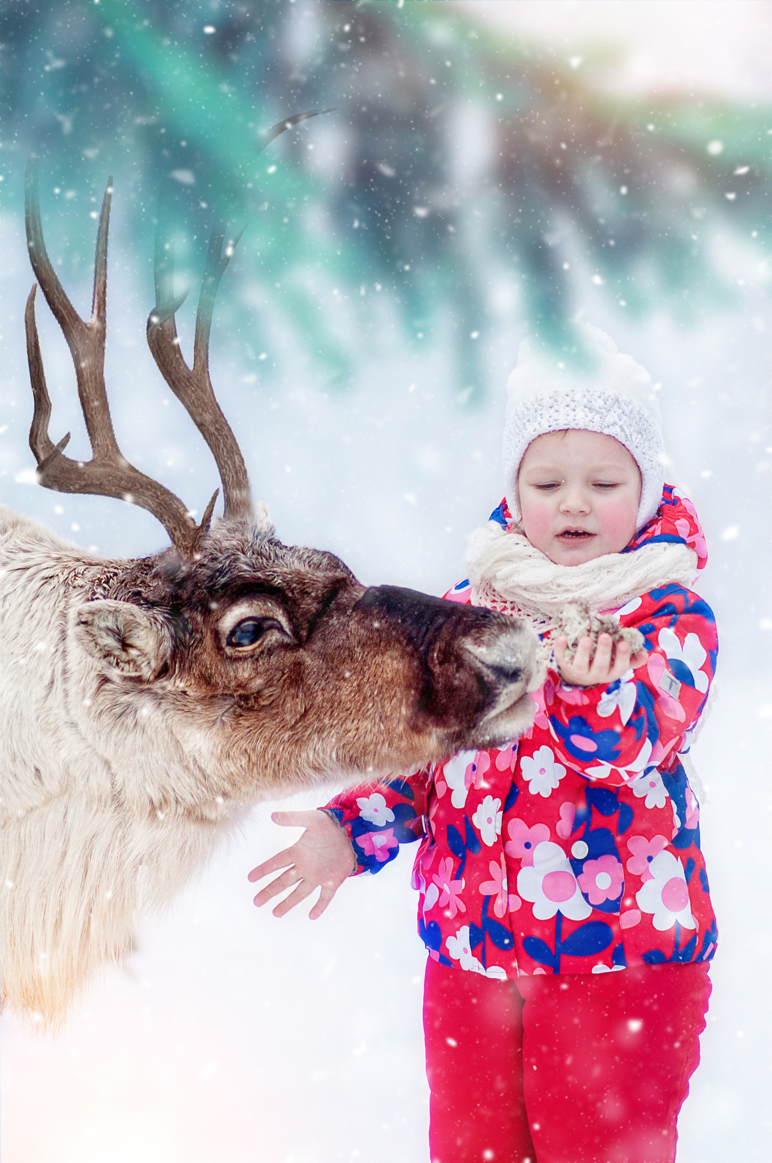 Фотодень с Оленями Газпром. Профессиональные фотосессии