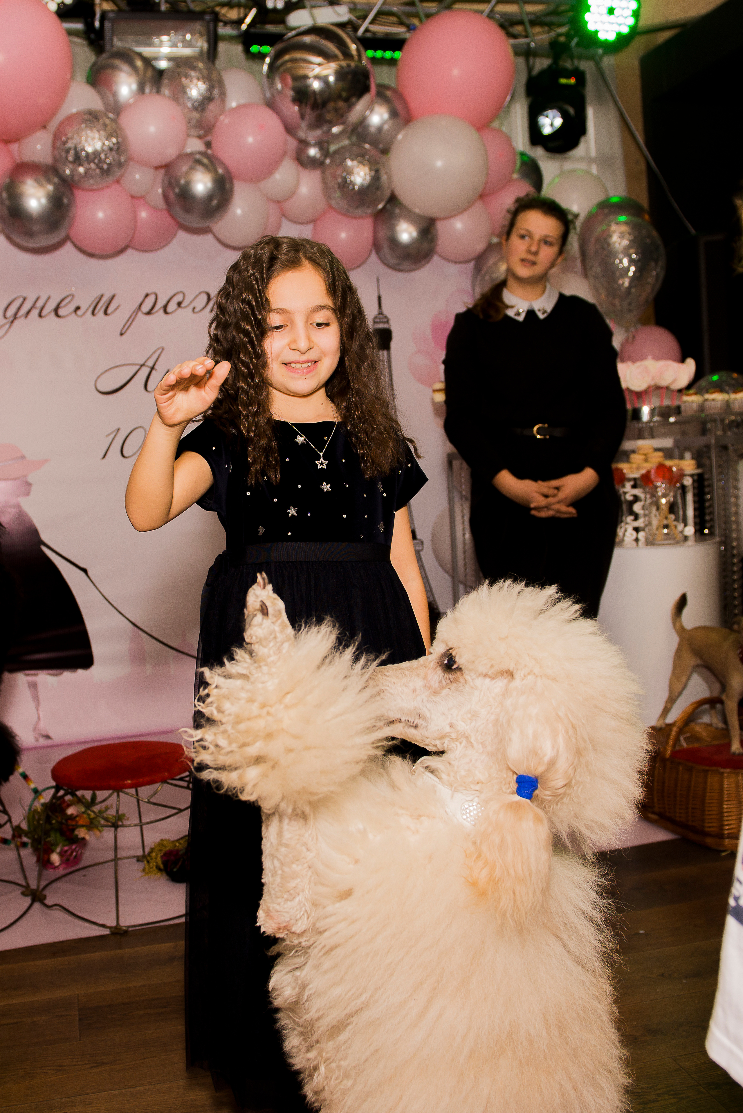 Дни рождения и мероприятия (репортажная съёмка). Профессиональные фотосессии