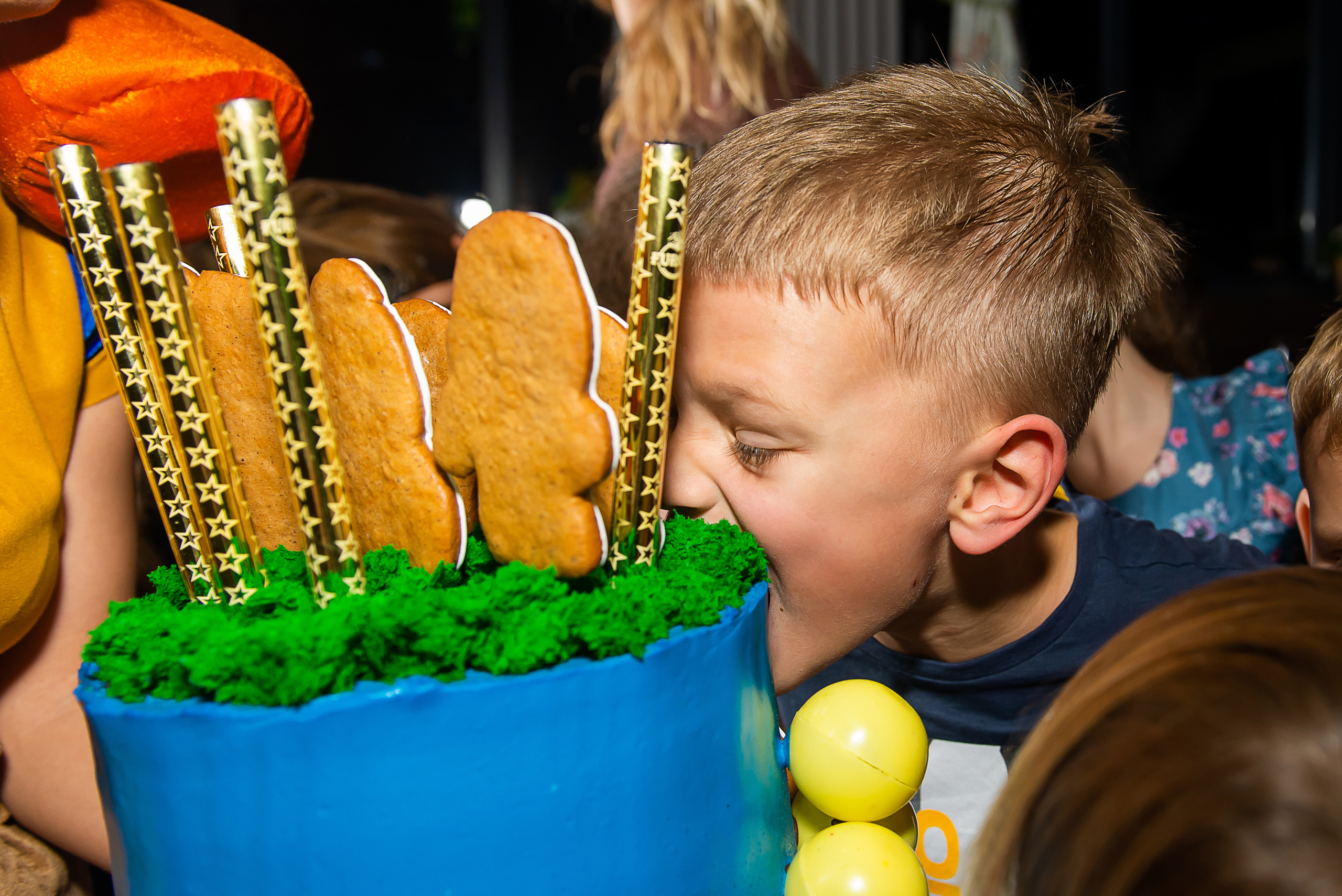 Дни рождения и мероприятия (репортажная съёмка). Профессиональные фотосессии