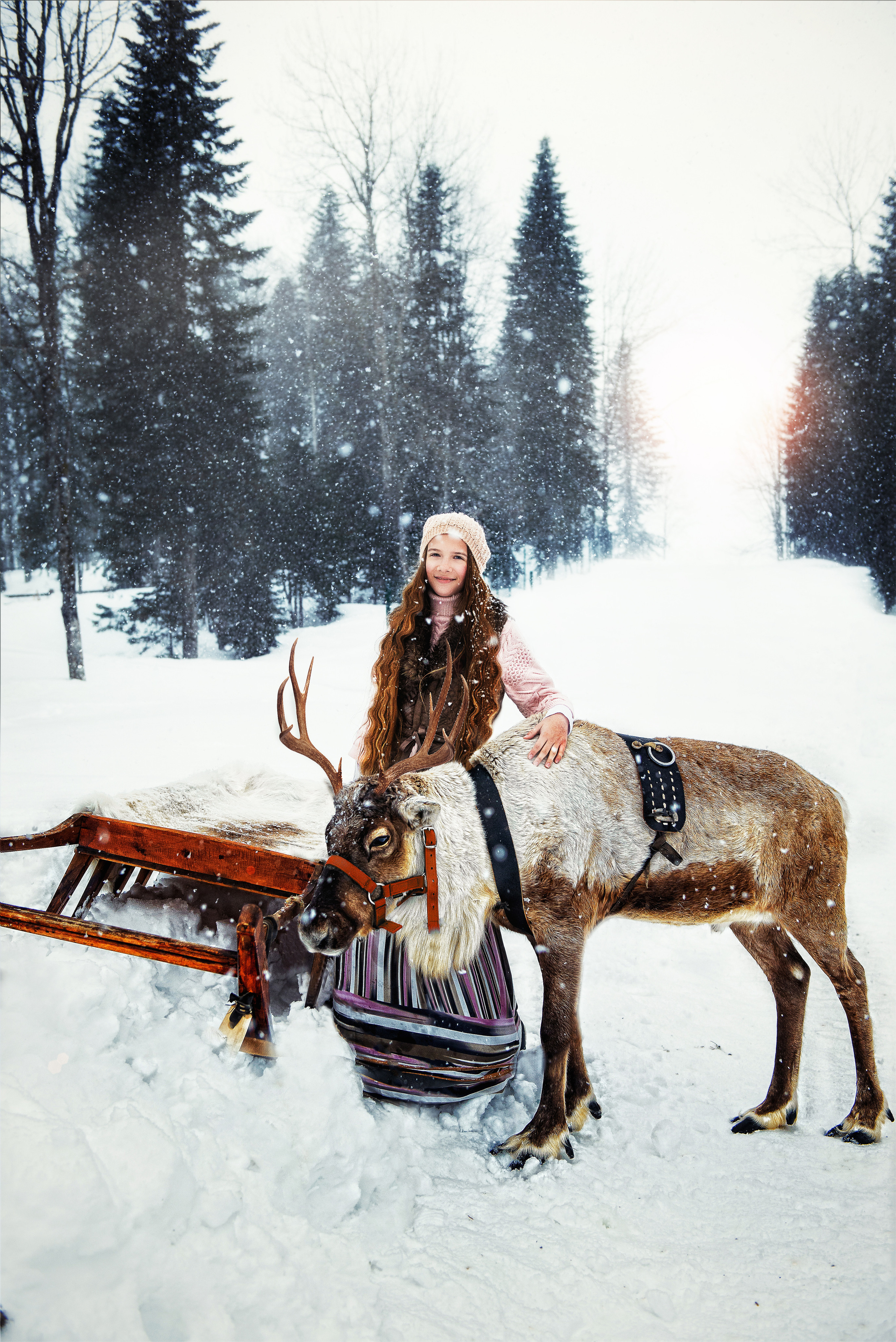 Фотодень с Оленями Газпром. Профессиональные фотосессии