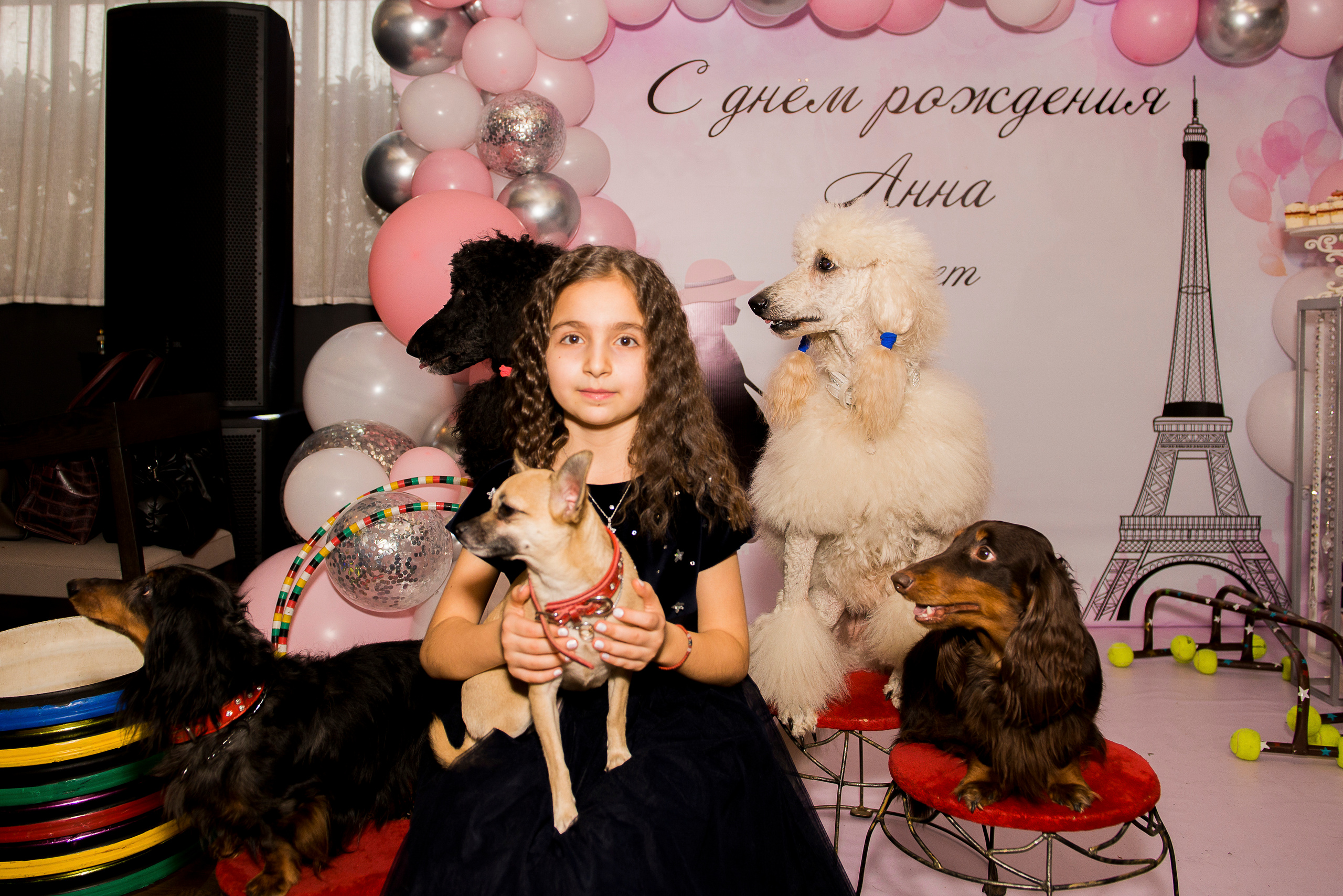 Дни рождения и мероприятия (репортажная съёмка). Профессиональные фотосессии