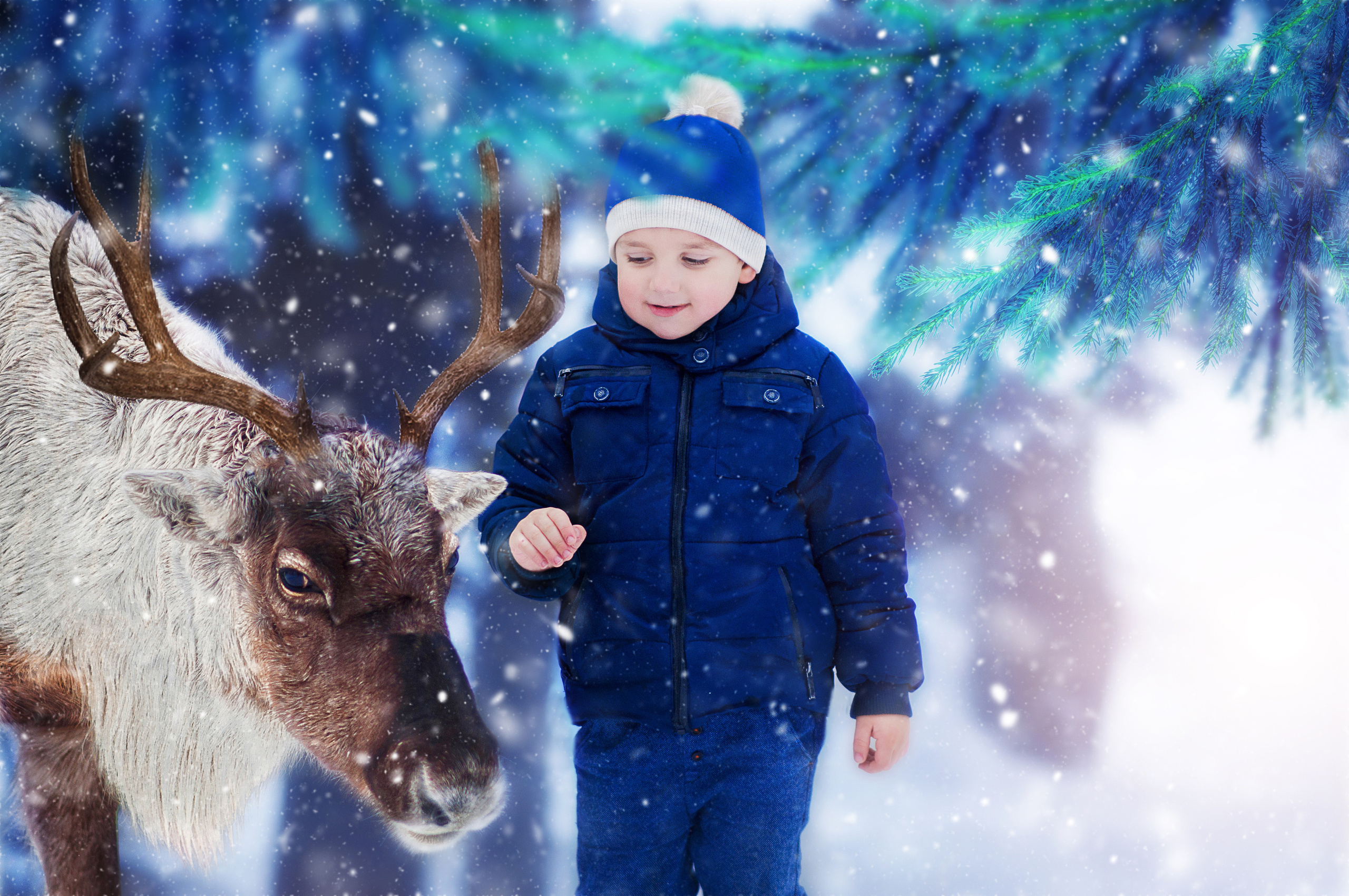 Фотодень с Оленями Газпром. Профессиональные фотосессии