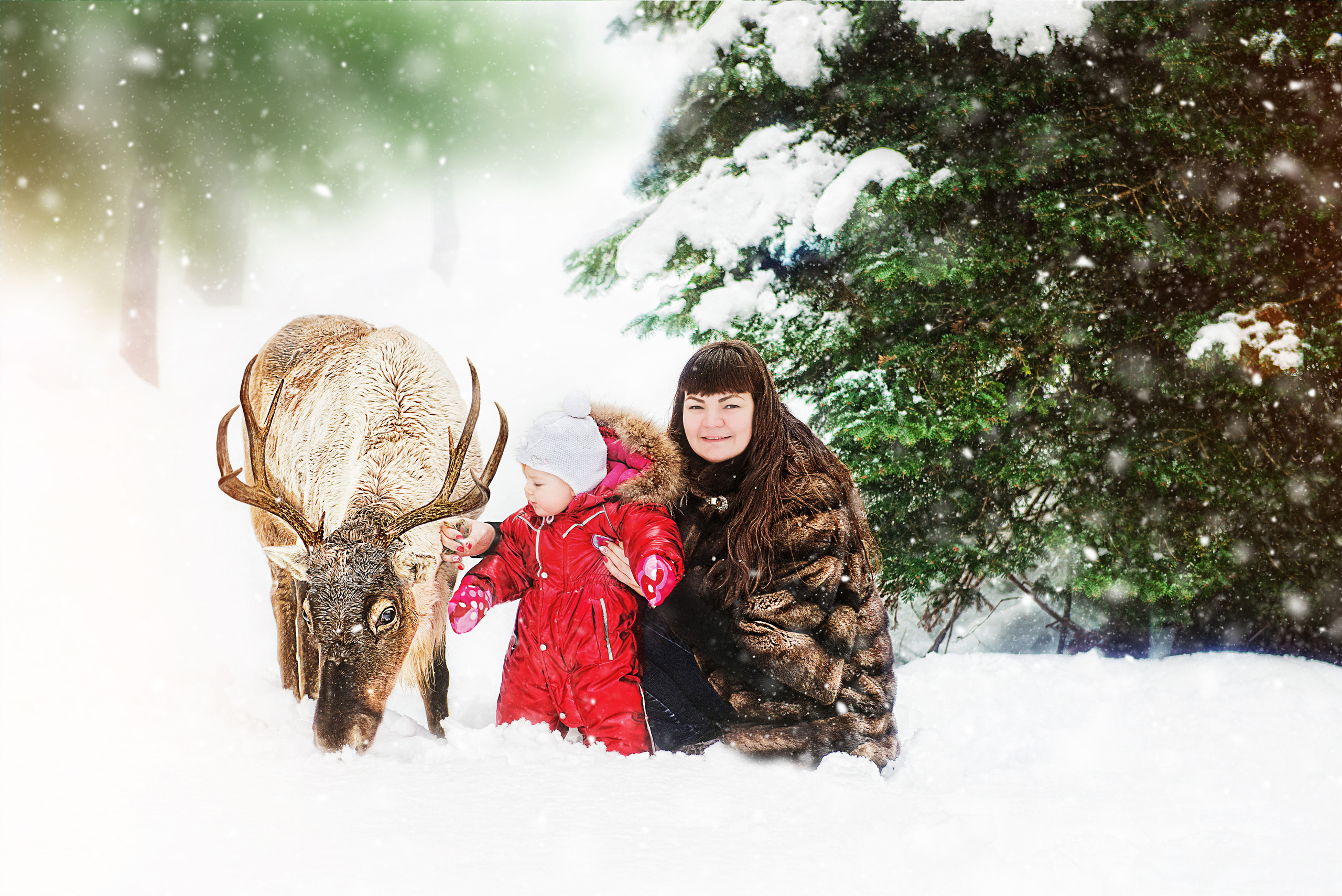 Фотодень с Оленями Газпром. Профессиональные фотосессии