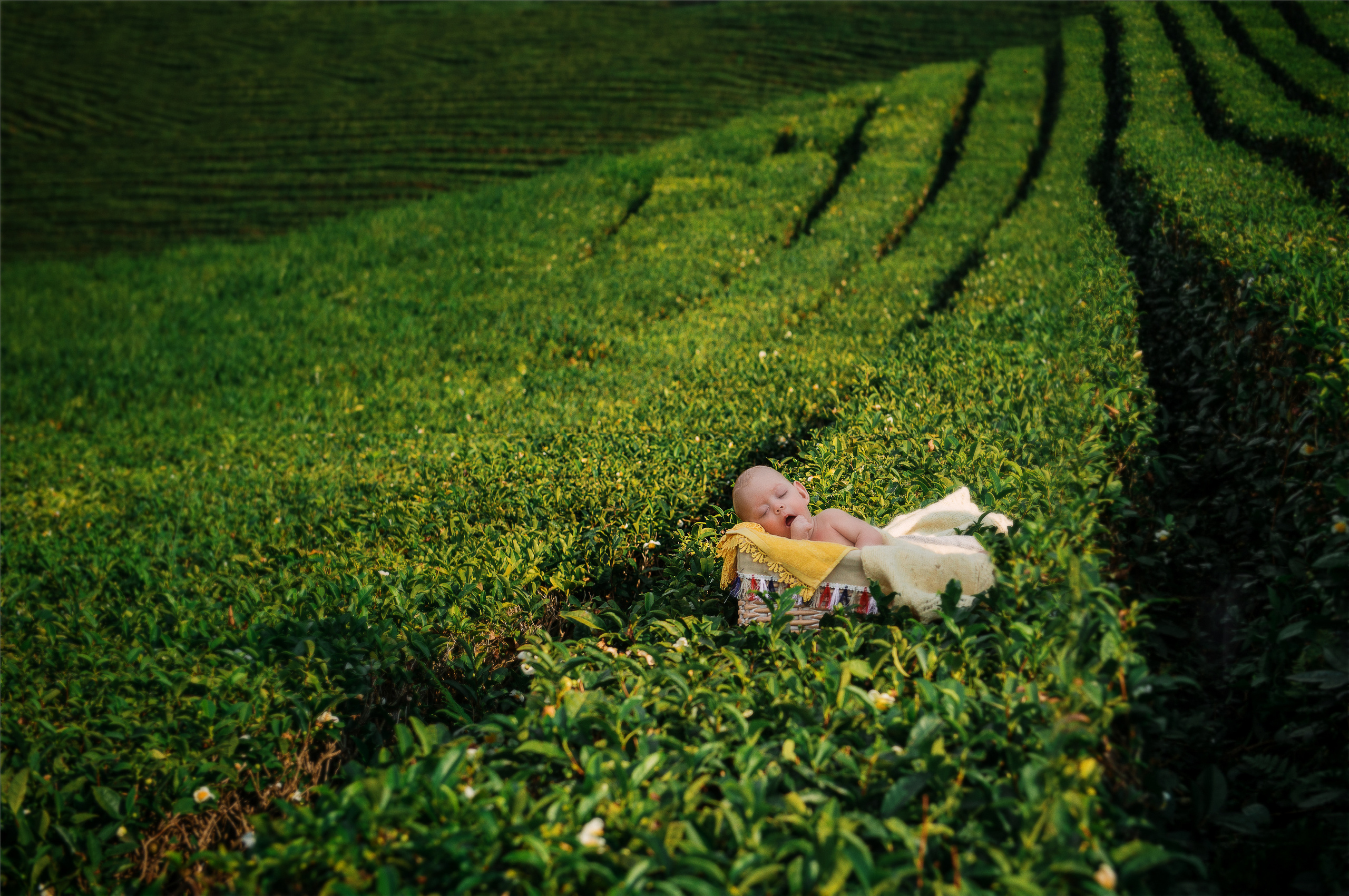 Семейные и детские фотосессии. Профессиональные фотосессии