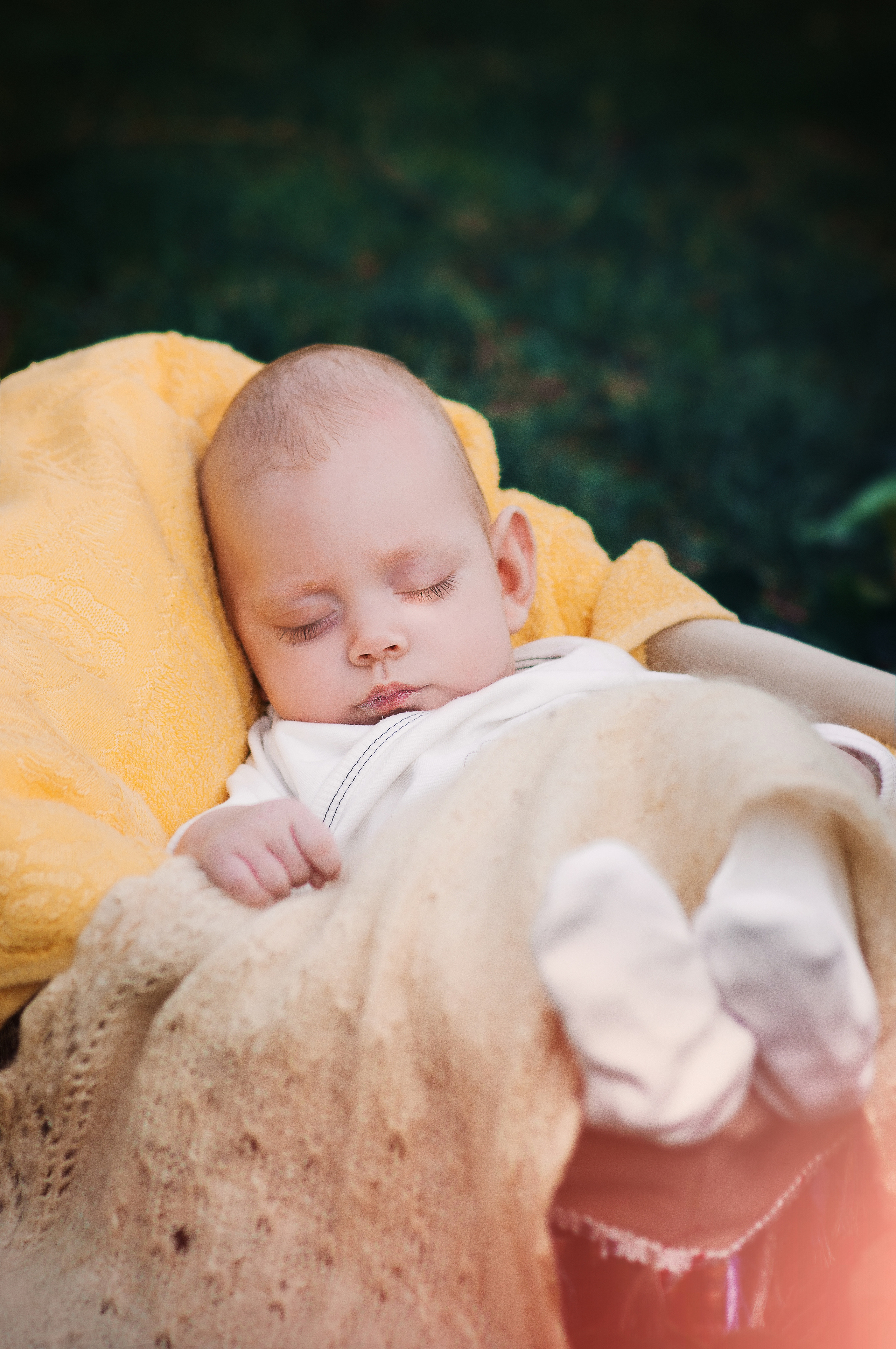 Семейные и детские фотосессии. Профессиональные фотосессии