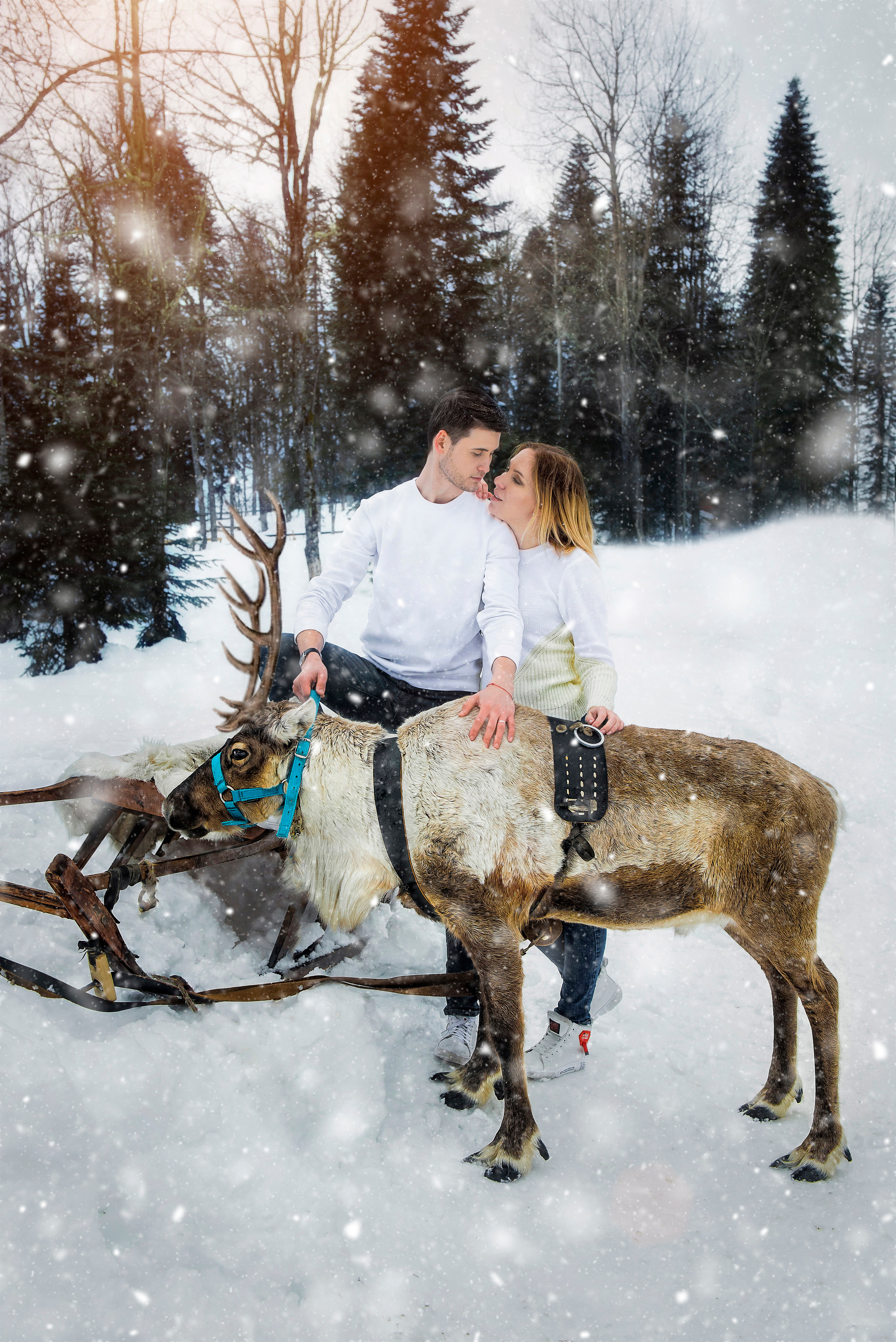 Фотодень с Оленями Газпром. Профессиональные фотосессии