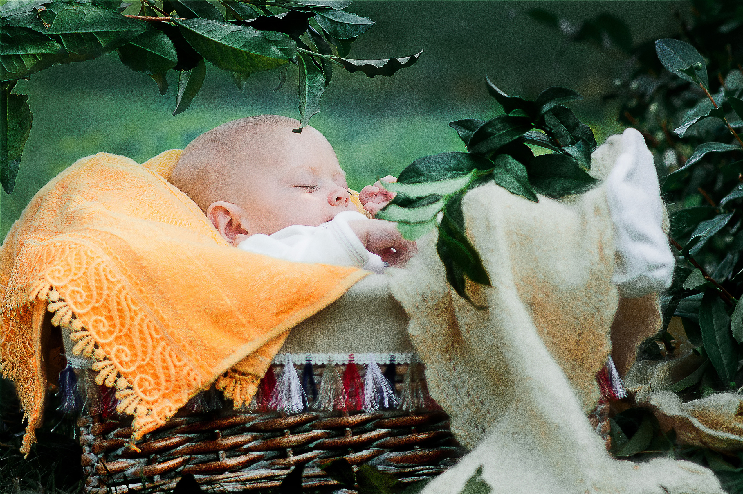 Семейные и детские фотосессии. Профессиональные фотосессии