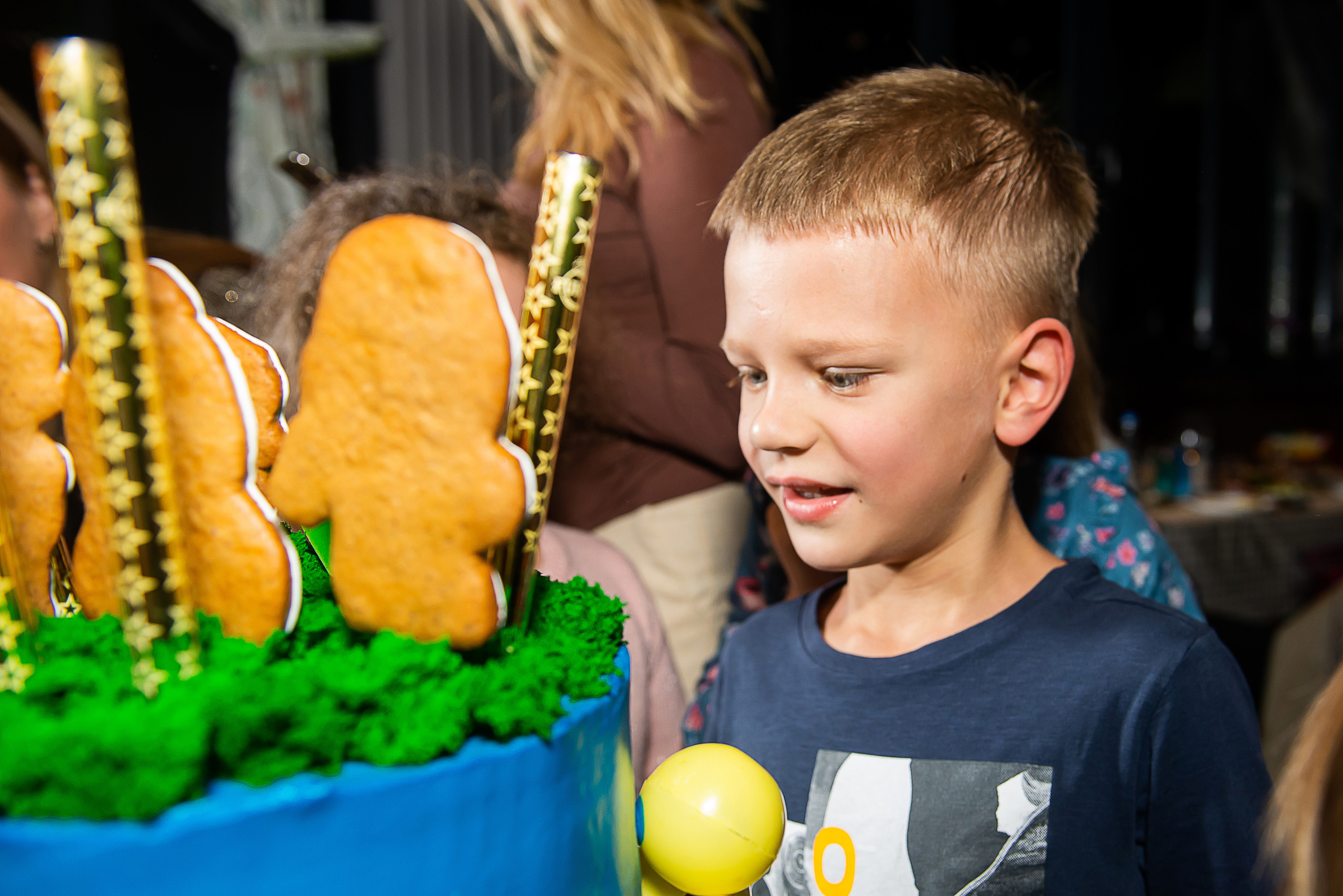 Дни рождения и мероприятия (репортажная съёмка). Профессиональные фотосессии