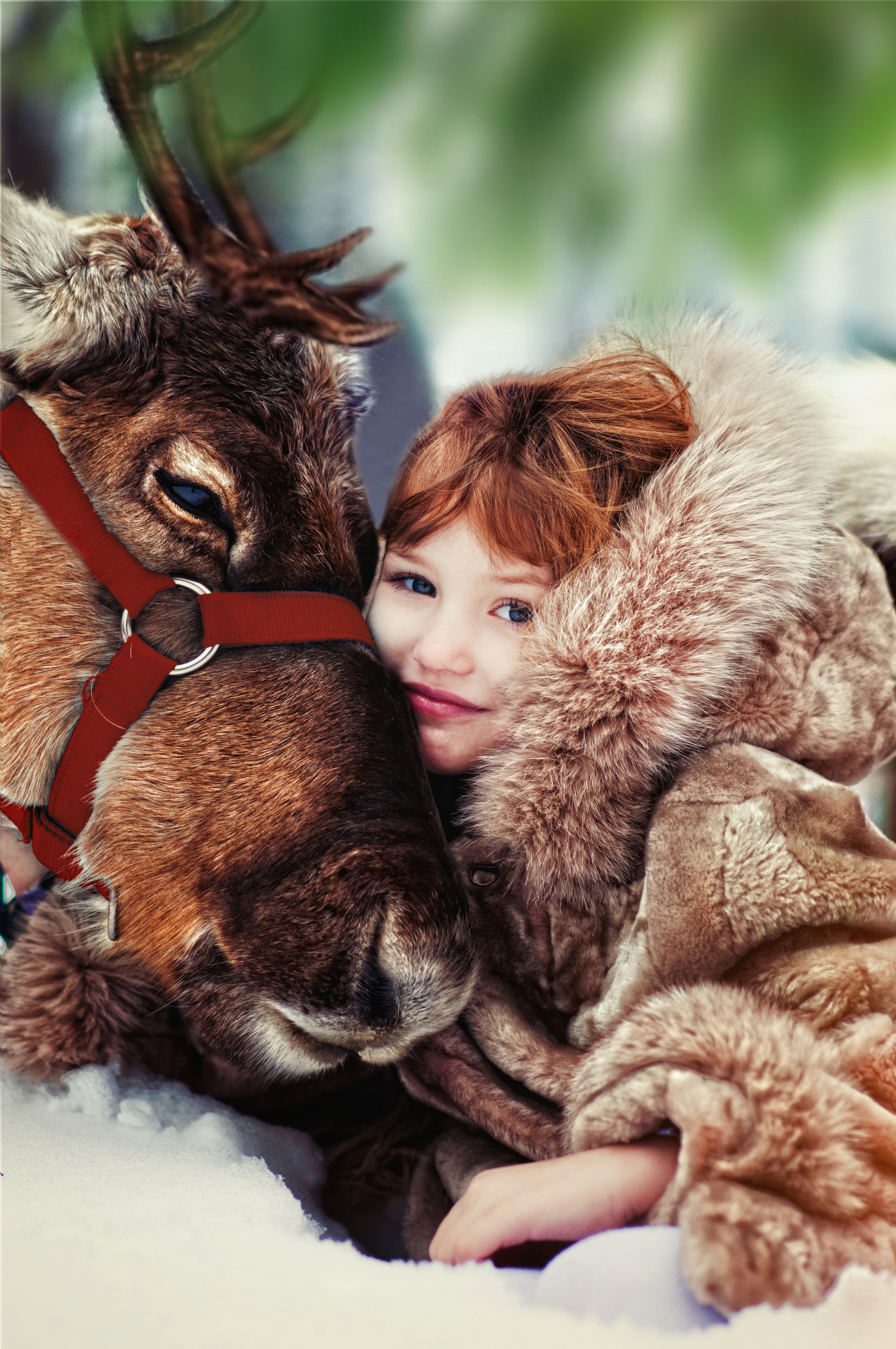 Фотодень с Оленями Газпром. Профессиональные фотосессии