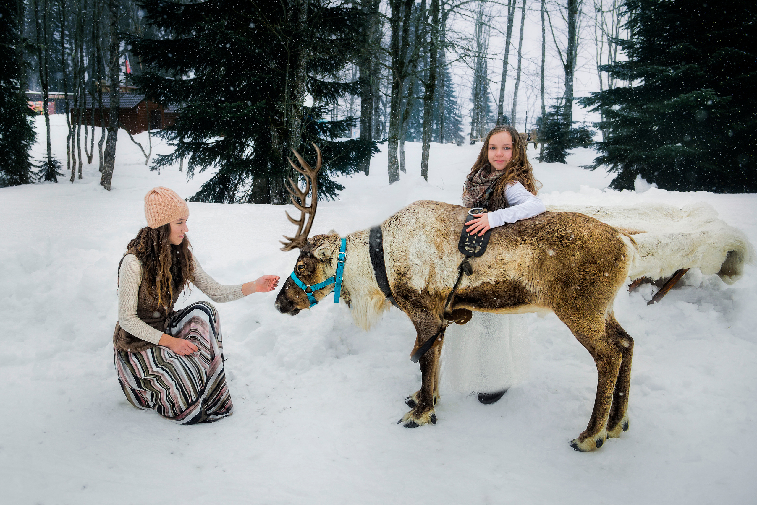 Фотодень с Оленями Газпром. Профессиональные фотосессии