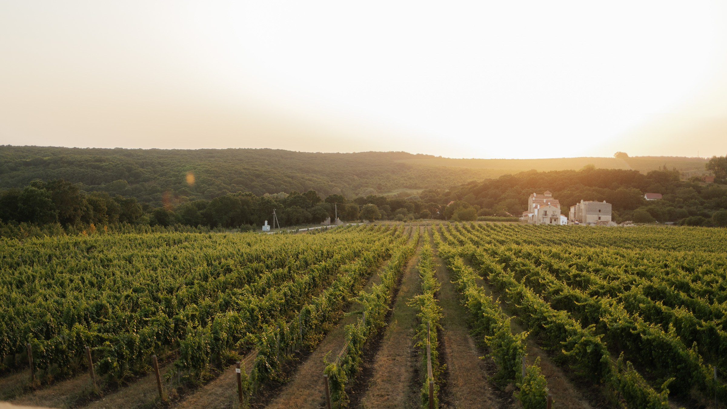 Атмосферная свадьба в Шато Андре. Архитектурный и интерьерный фотограф в Краснодаре | Дмитрий Демской