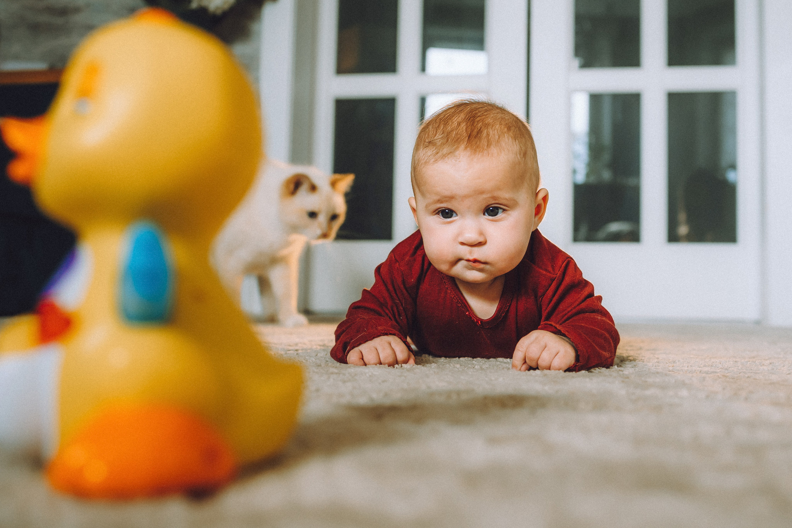 Топик и его семья