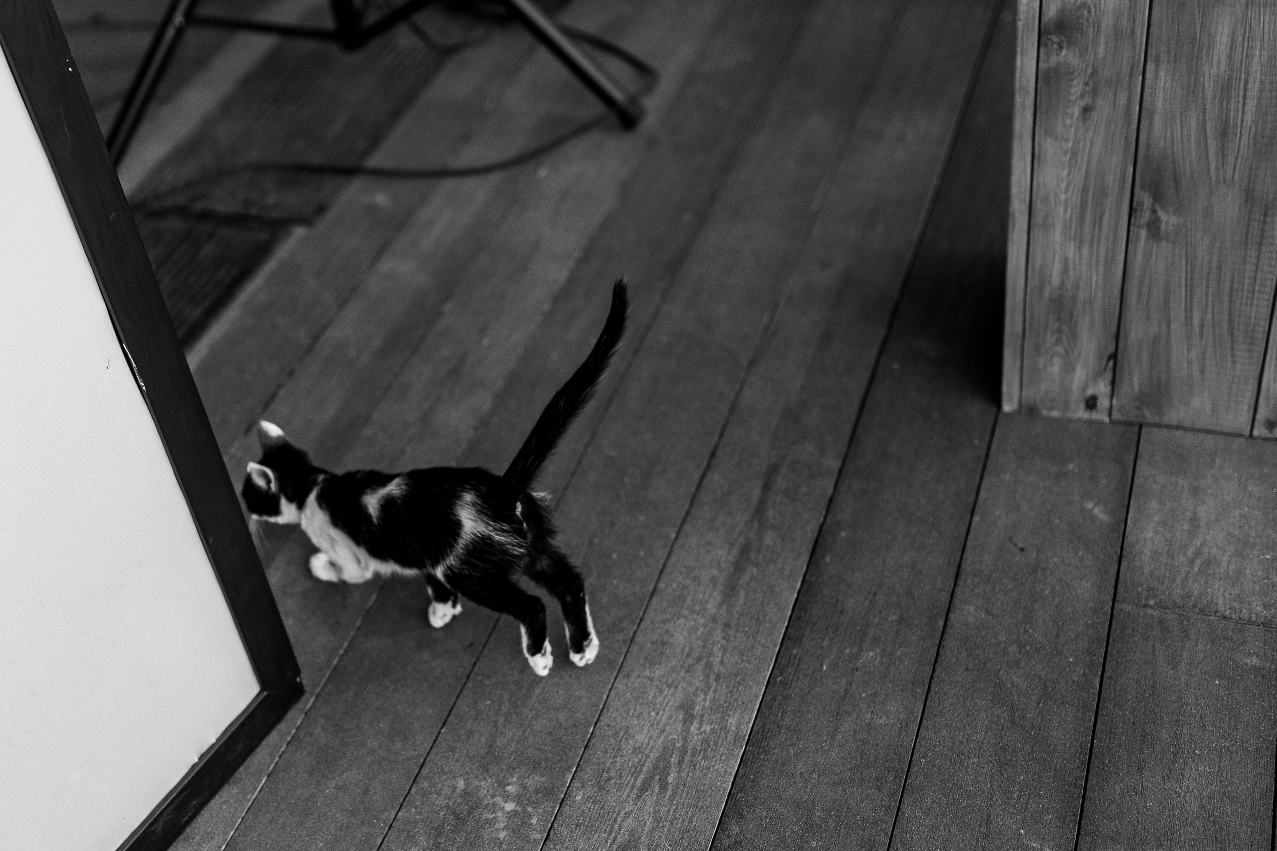 Здравствуйте! Я&nbsp;свадебный фотограф из&nbsp;Ульяновска, работаю в&nbsp;том числе по&nbsp;всей России и&nbsp;с&nbsp;выездом за&nbsp;границу. Снимаю свадьбы, lovestory, корпоративы, светский репортаж. Провожу обучение по&nbsp;фотографии, мастер-классы и&nbsp;воркшопы для других фотографов.