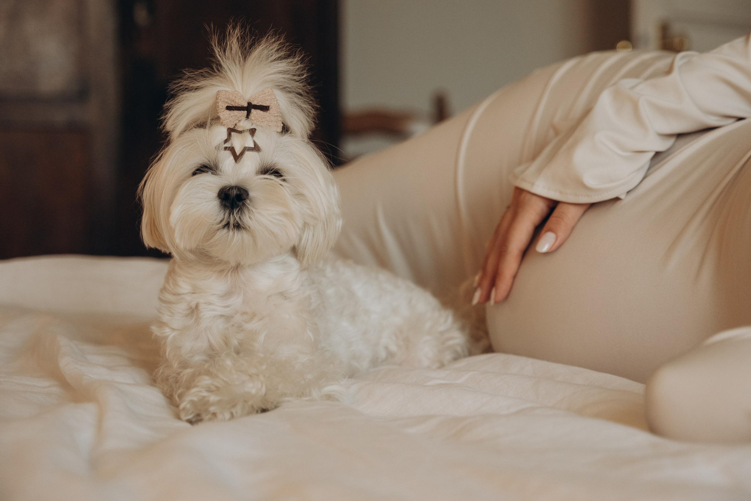 Фотосессия беременности|Москва. Фотограф|Москва — Агбаш Лера