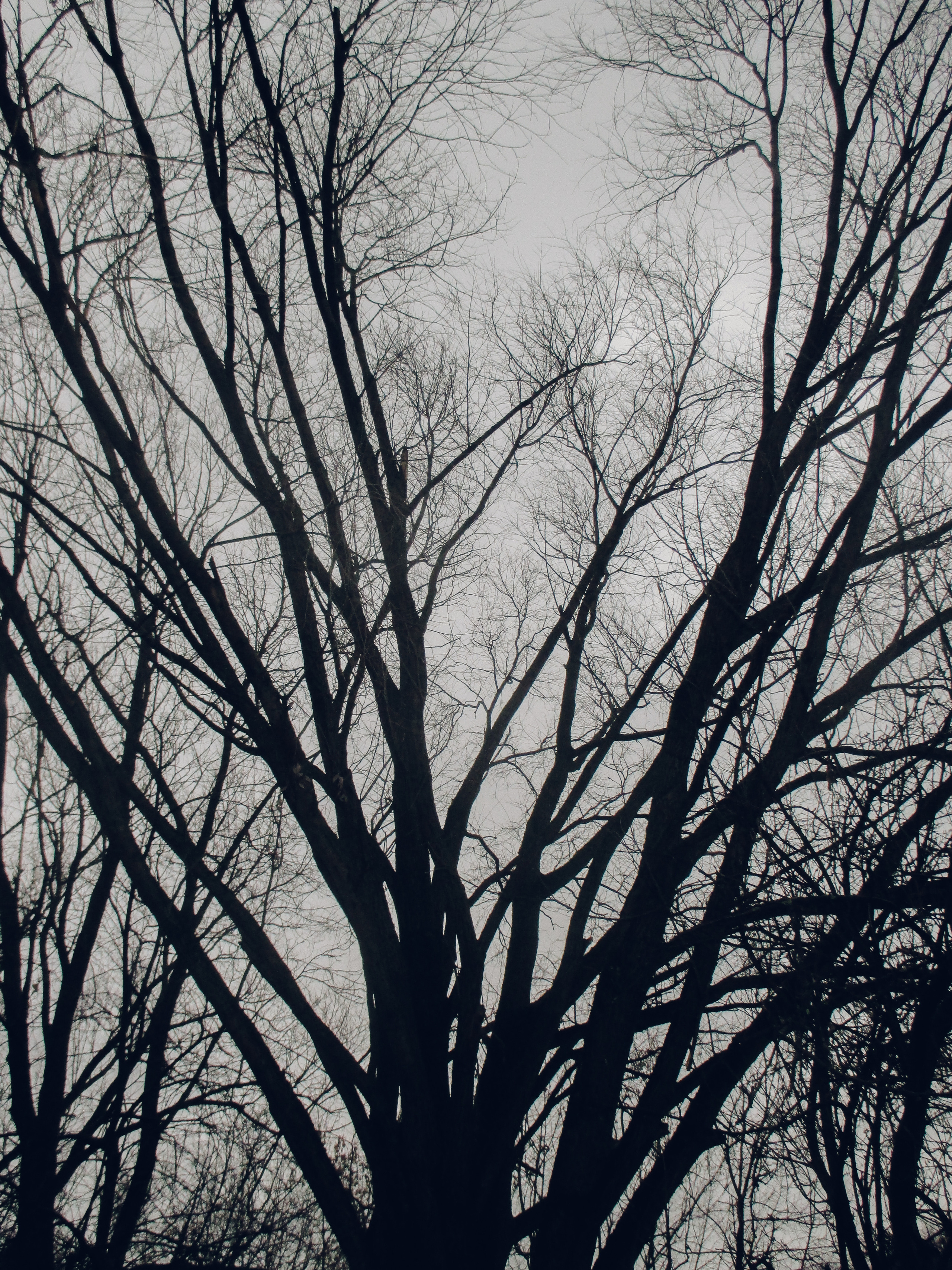 'QADRIYA' part IV. Nik Paustovskiy photography