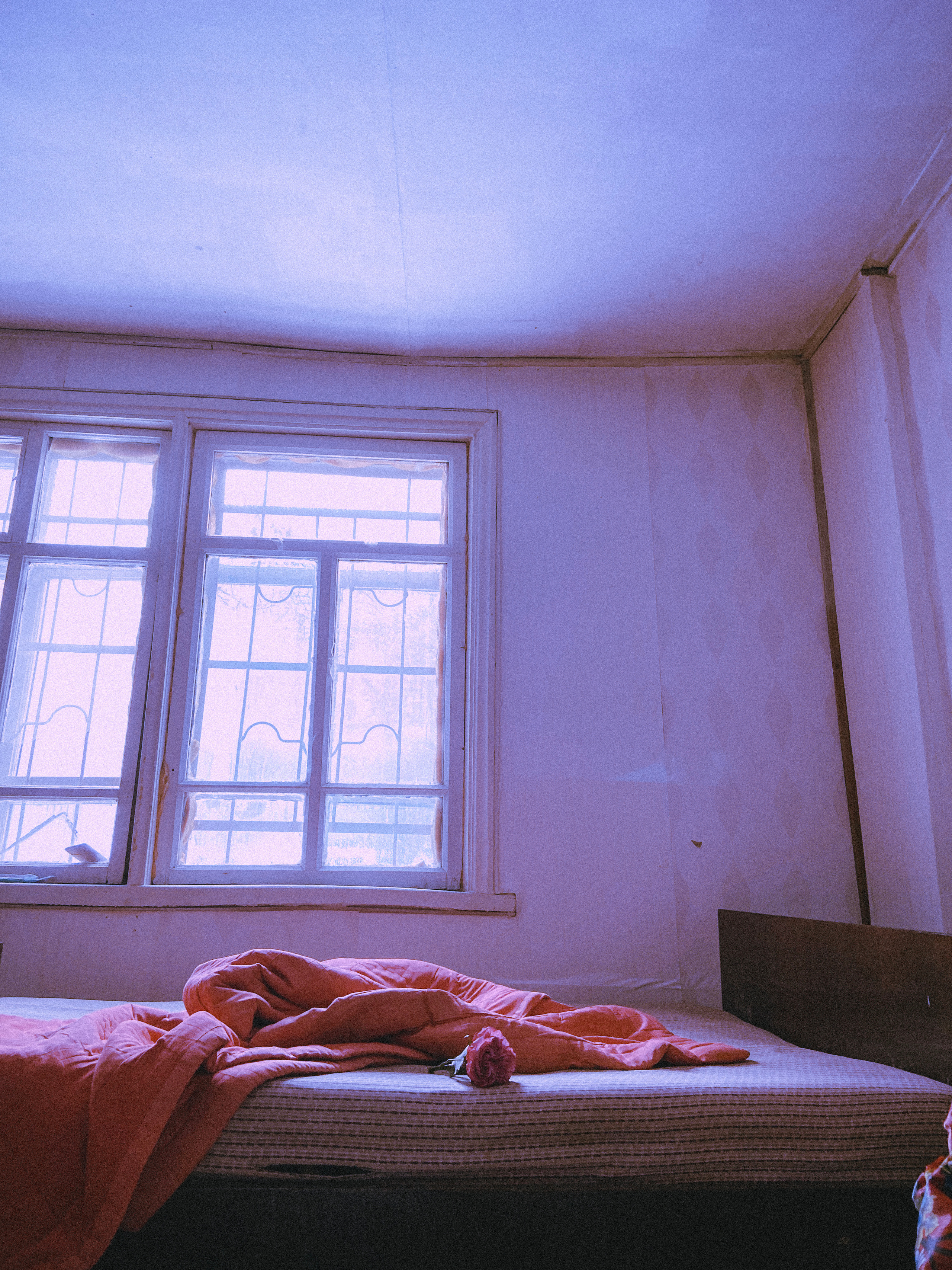 RANDOM. Nik Paustovskiy photography