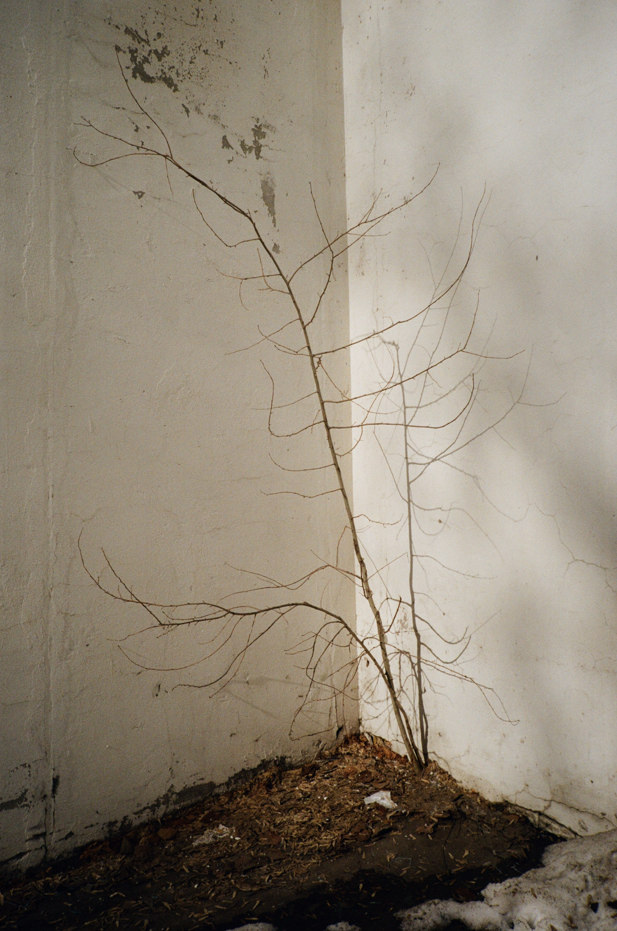 RANDOM. Nik Paustovskiy photography