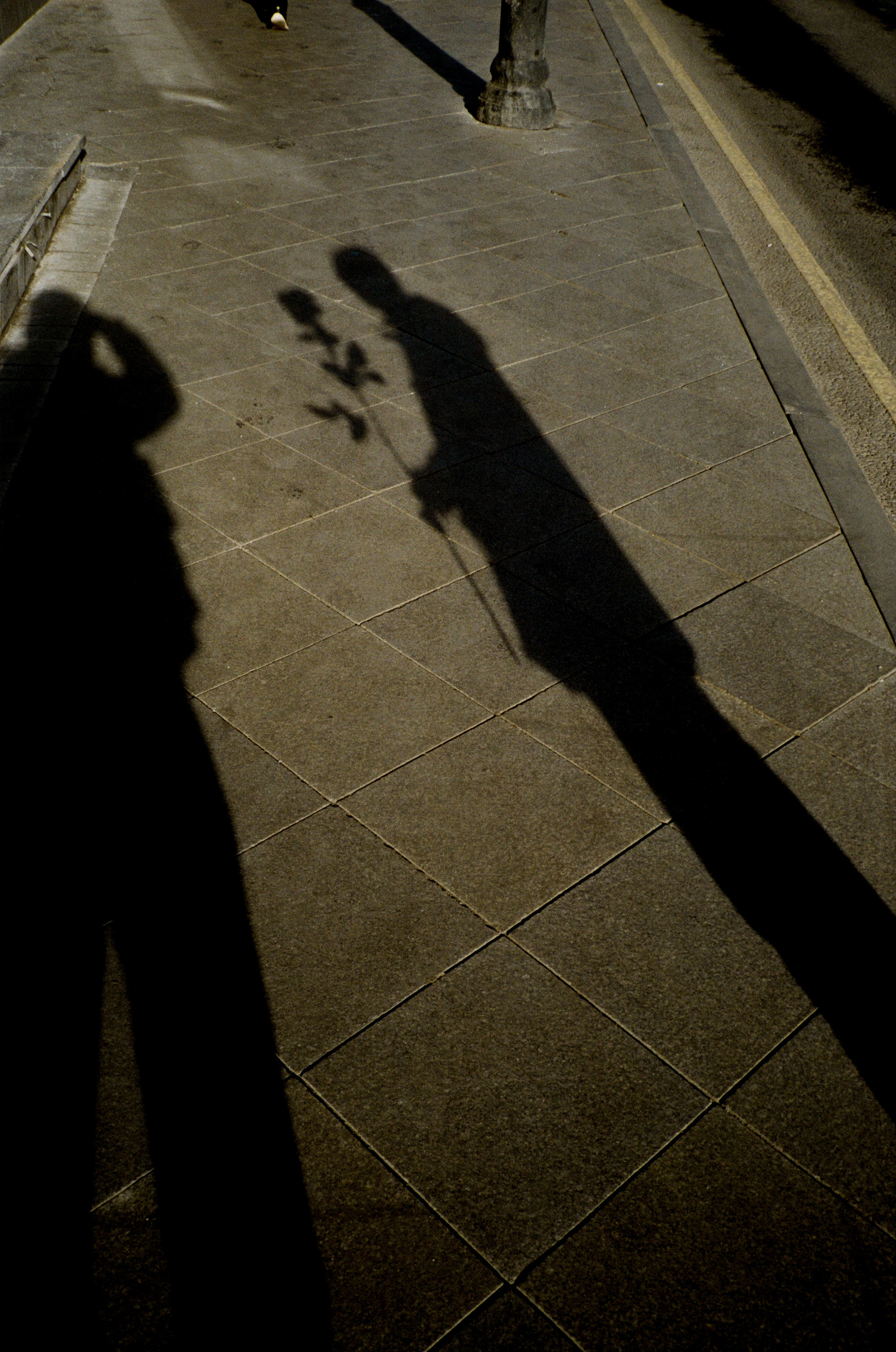 RANDOM. Nik Paustovskiy photography