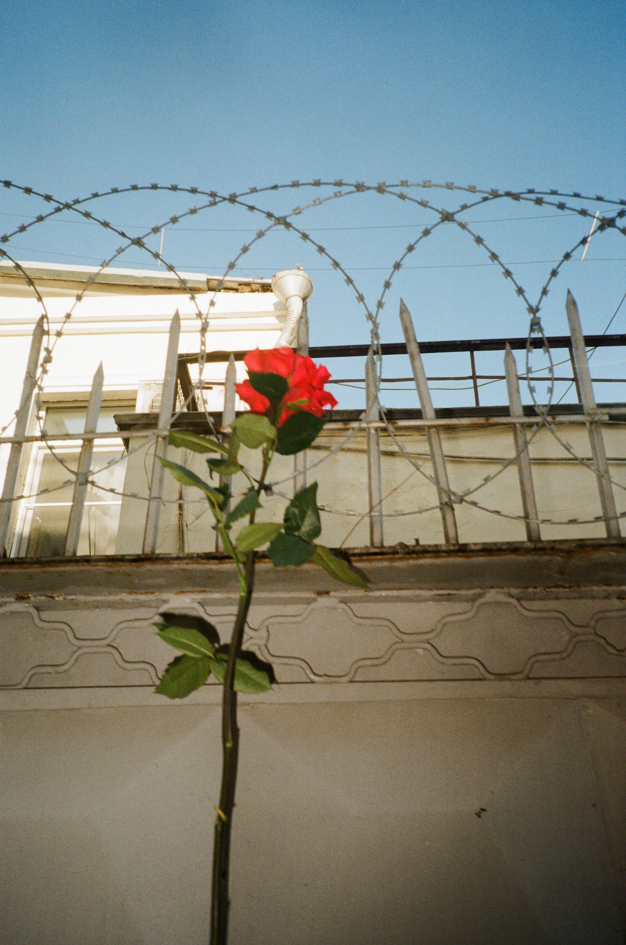 RANDOM. Nik Paustovskiy photography