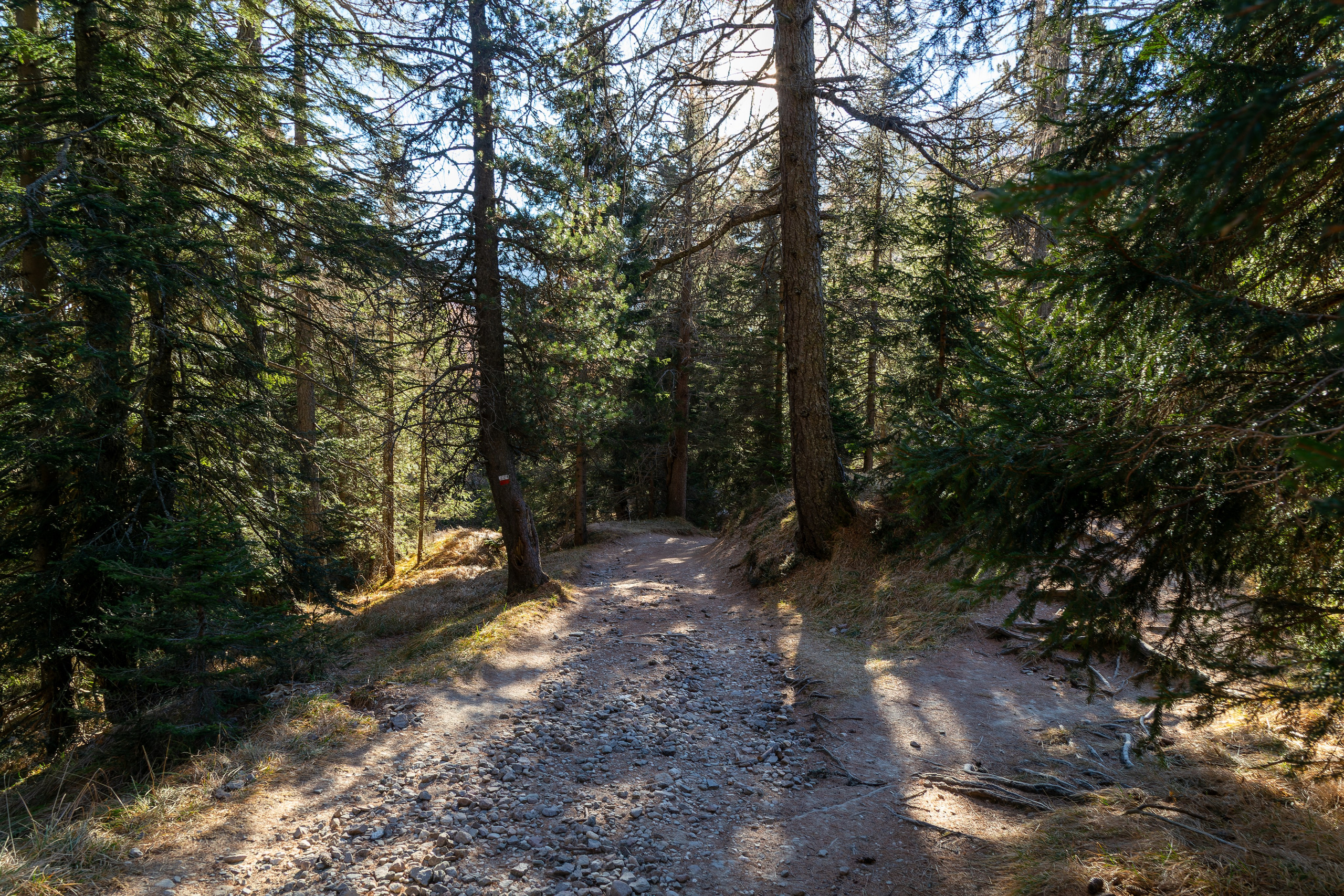 Фотосъёмка Альпы Италия, пейзажи и архитектура. «Студия DRONAVT`s» — видеосъёмка и фотография г. Москва