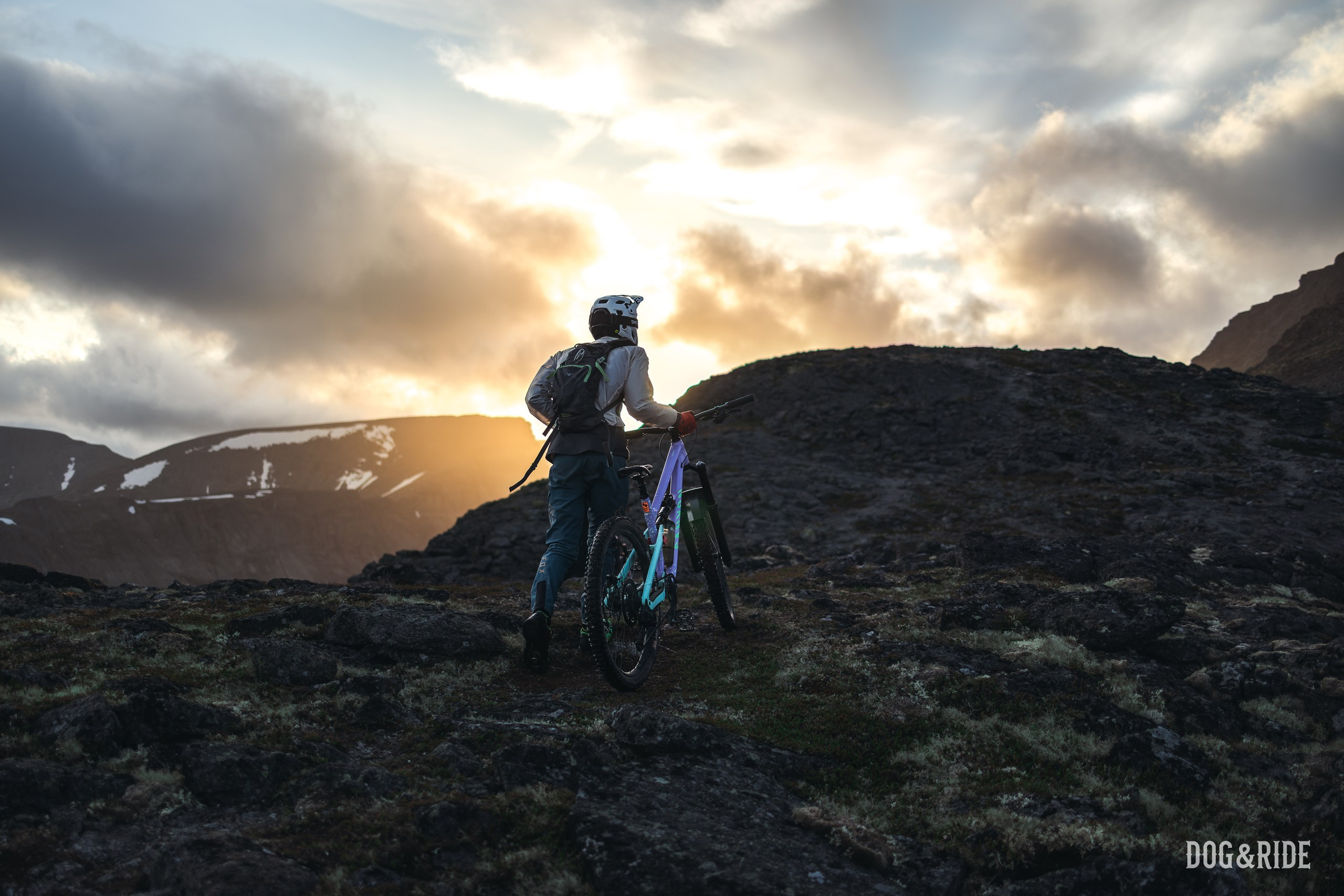 Хибины. Фотограф анималист Никита Натальный