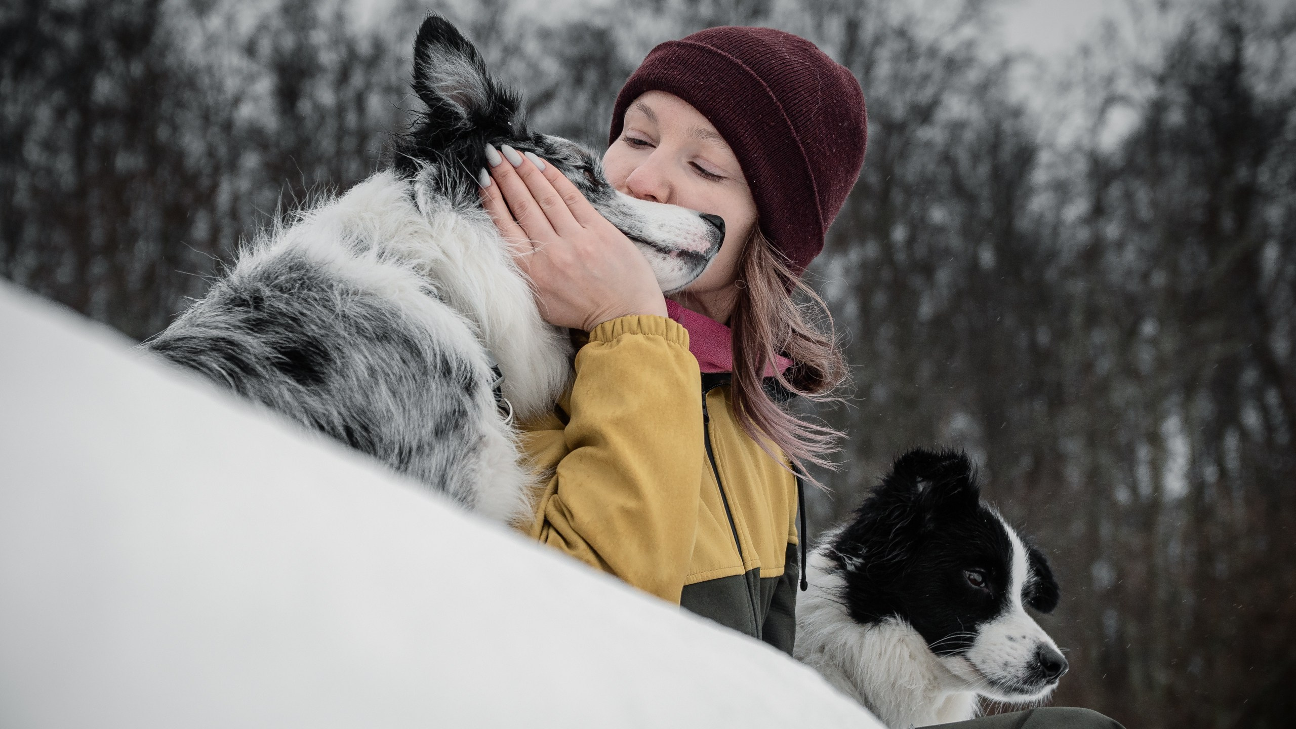 Токсово. Фотограф анималист Никита Натальный