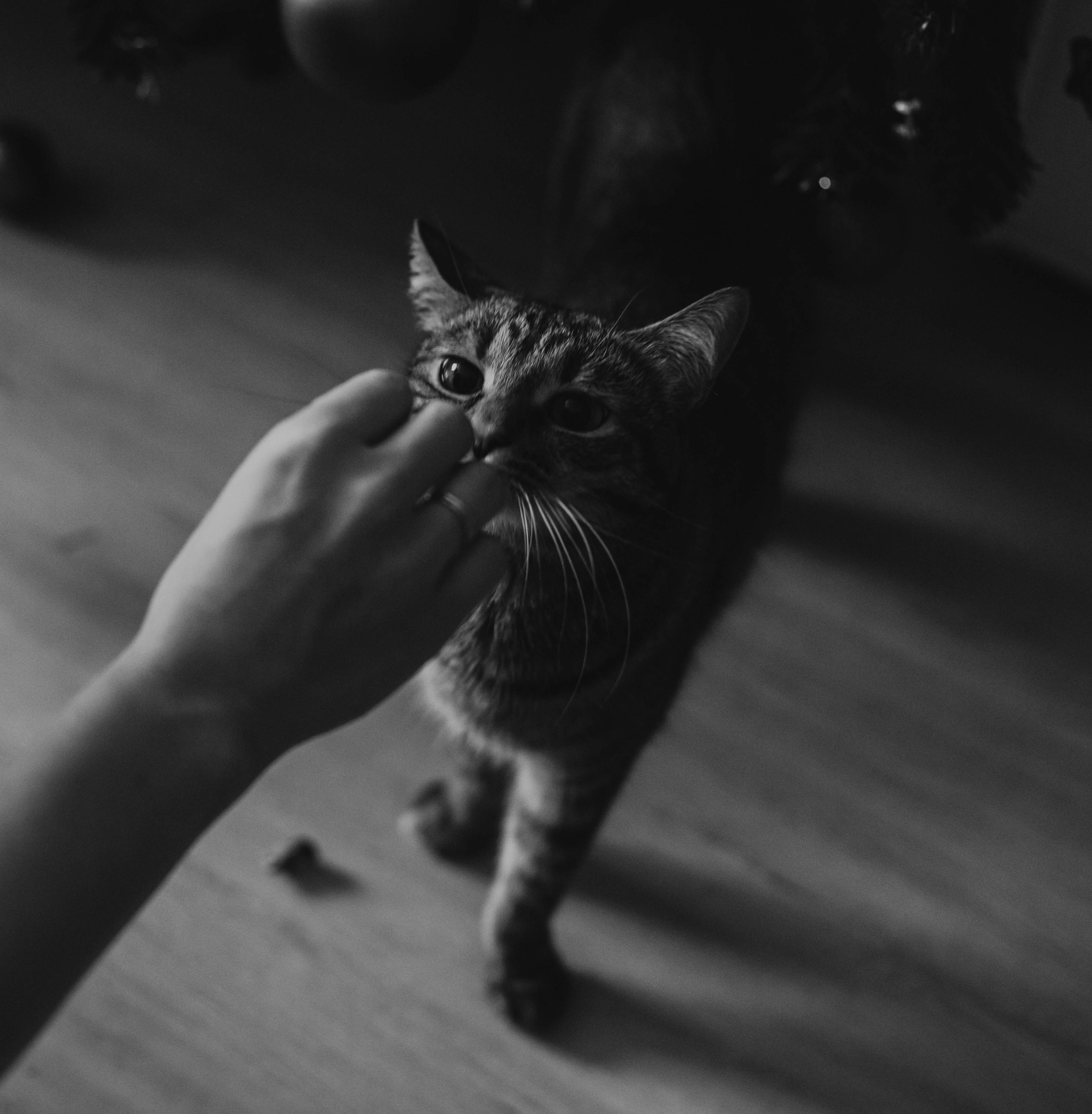 Люда и Паша. Фотограф в Санкт-Петербурге Дарья Заплитная