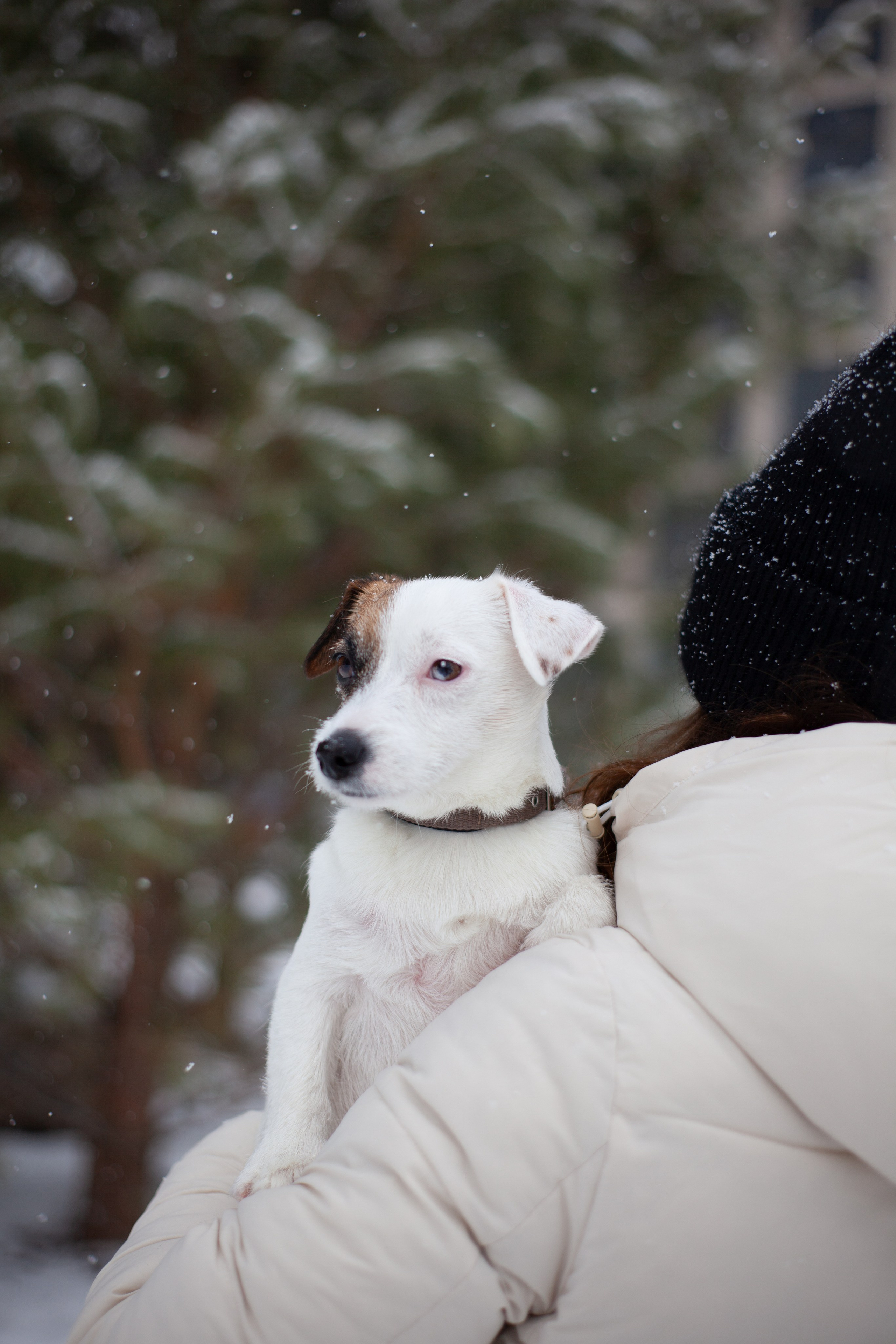 Марина и Летюша — фотосессия в домашнем стиле. Анастасия, Фотограф женского портрета и беременности в стиле vogue