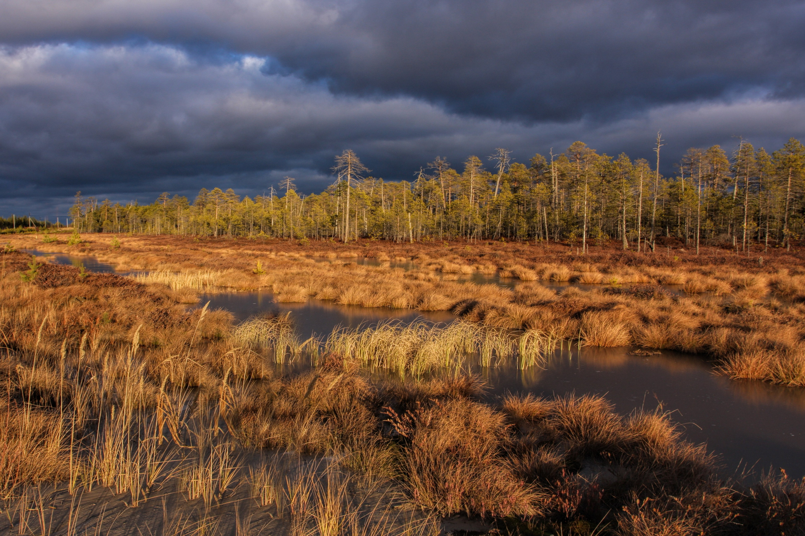 ПЕЙЗАЖИ. Фотограф Татьяна Борисова