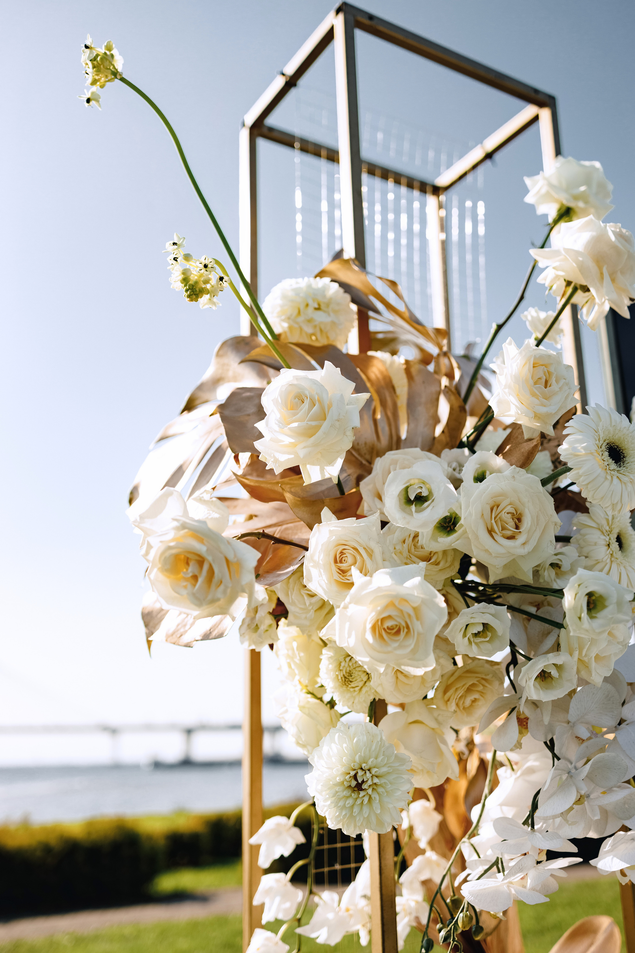 Вилл & Наталья — Санкт-Петербург. Свадебный фотограф Ричард Конвенсаров Wedding Photographer Richard & I