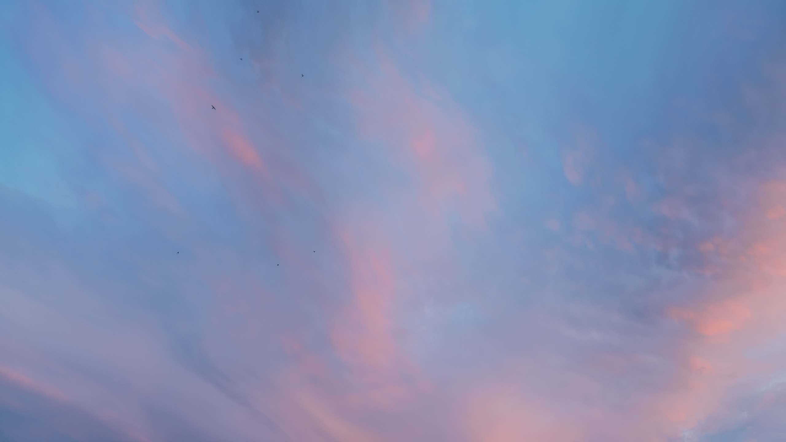 Небо видело всё. Komonev