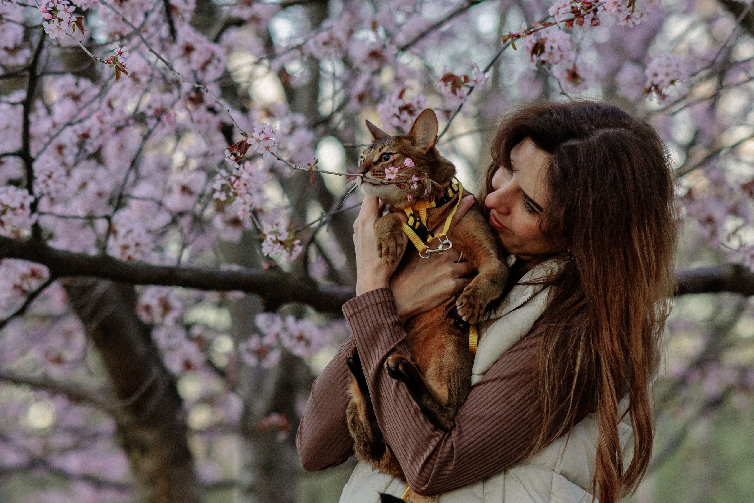 Екатерина и Персик. Фотограф в Санкт-Петербурге Алёна Губинская