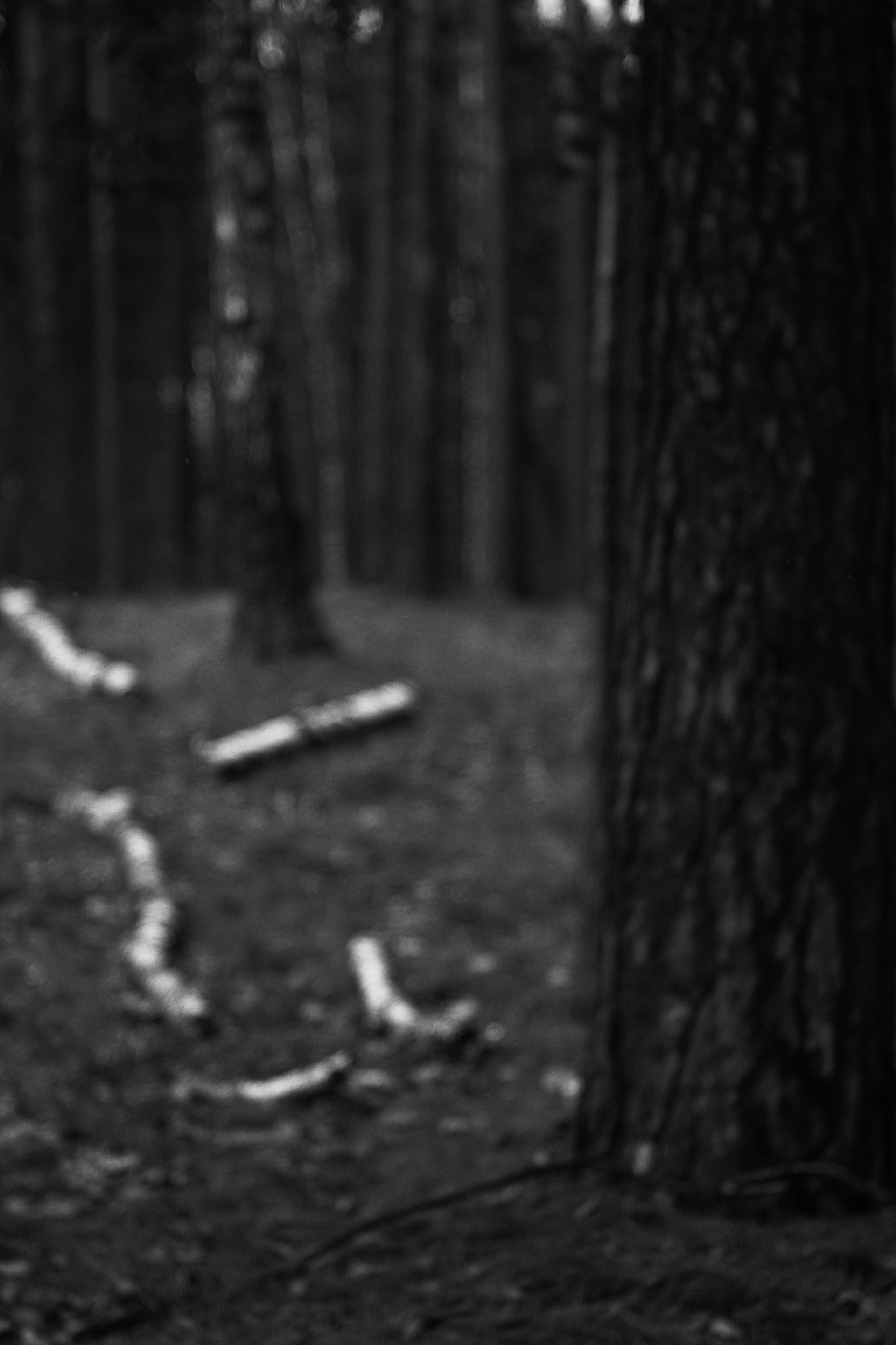 ЧБ  пейзажи (BnW landscape). Фотограф (photographer) Lischinski Vitaliy