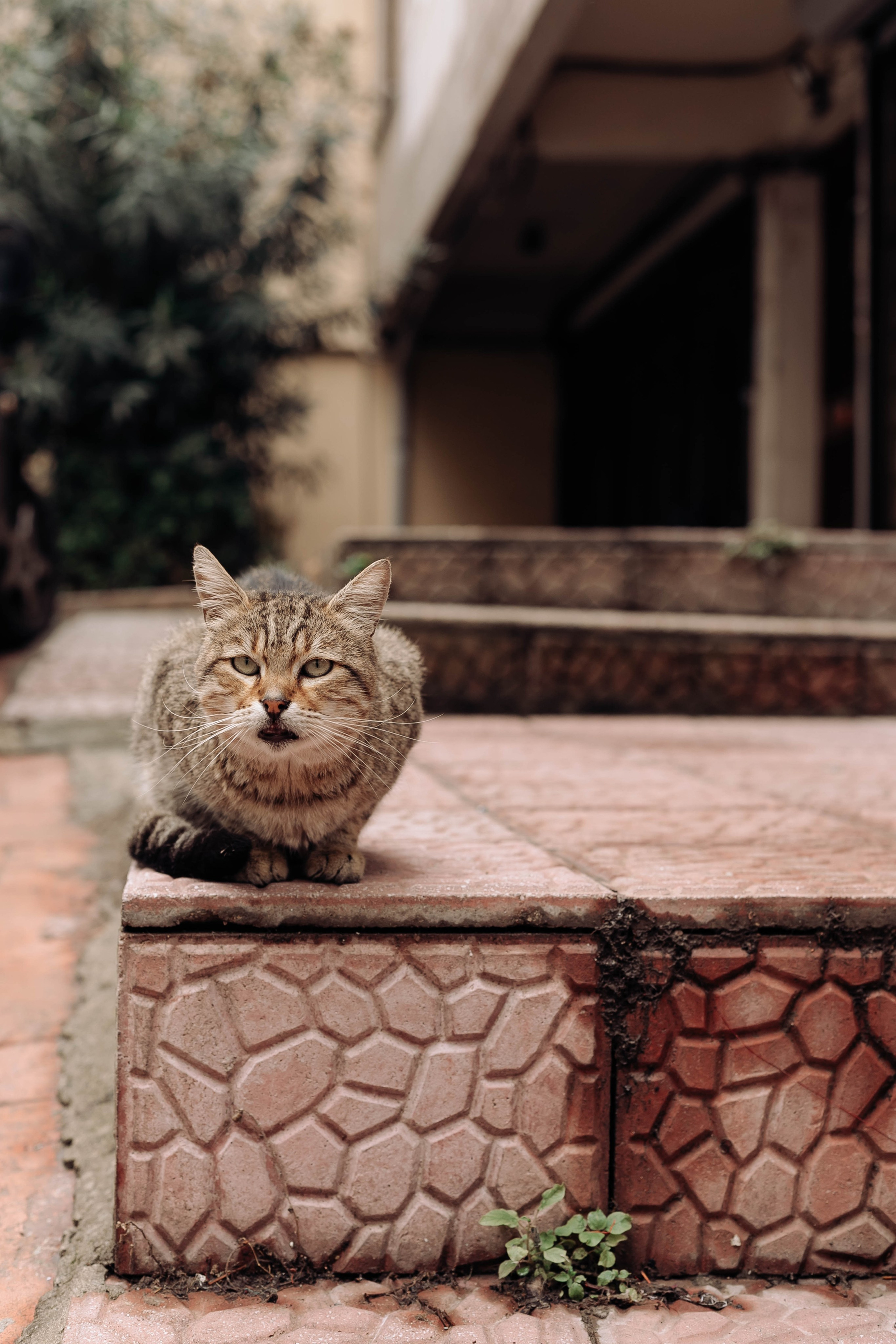 Istanbul. Katerina Spekhova