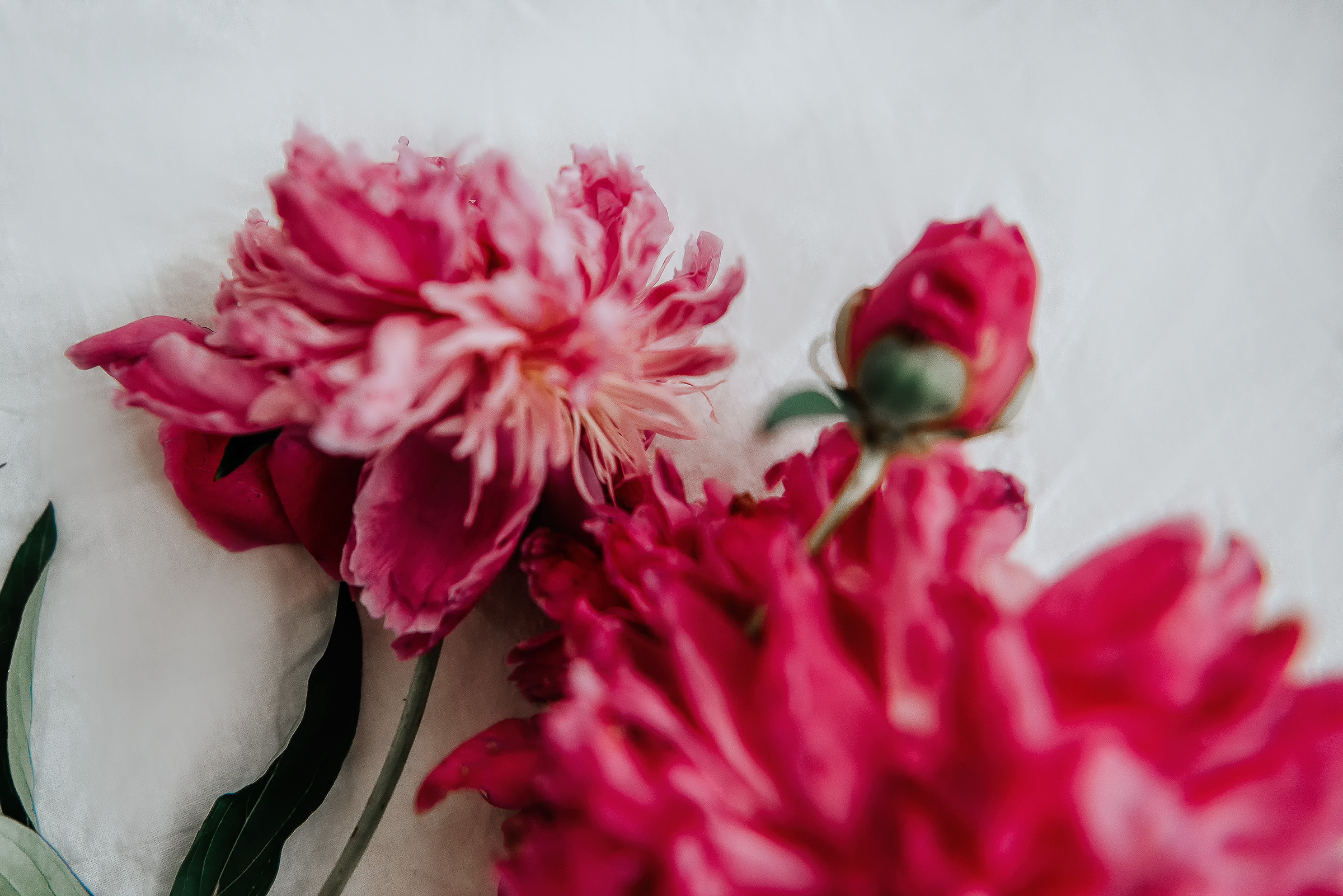 Индивидуальная фотосессия. Валерия Амур Свадебный фотограф (Пенза — Москва)