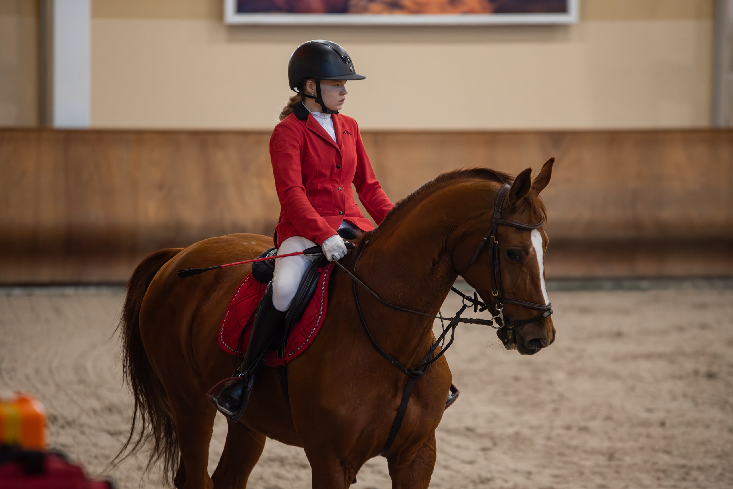 Репортажная съемка конных мероприятий. Конный фотограф из Москвы Ирина Бондаркова